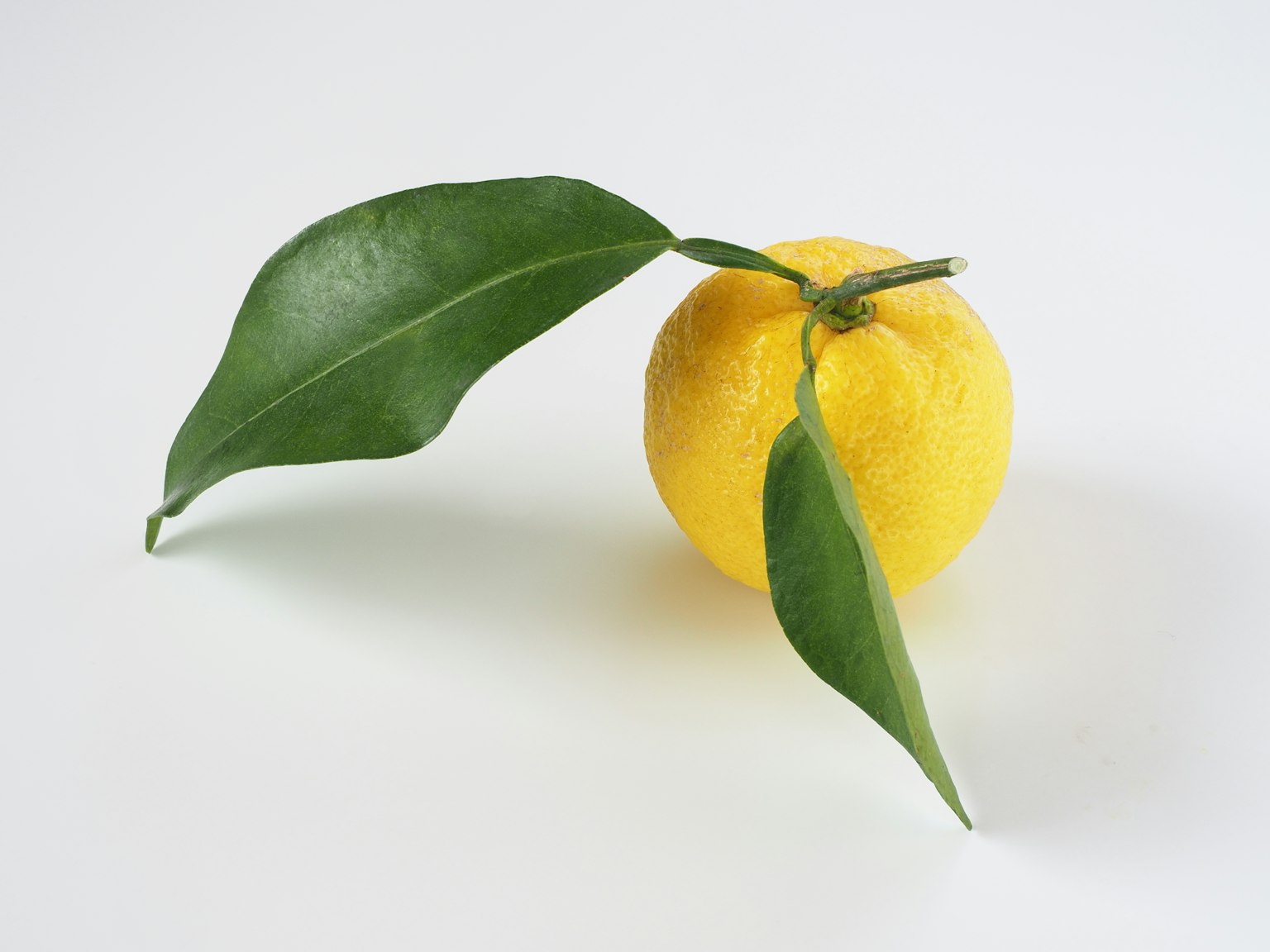Une image simple présentant un fruit d'agrumes jaune avec des feuilles vertes