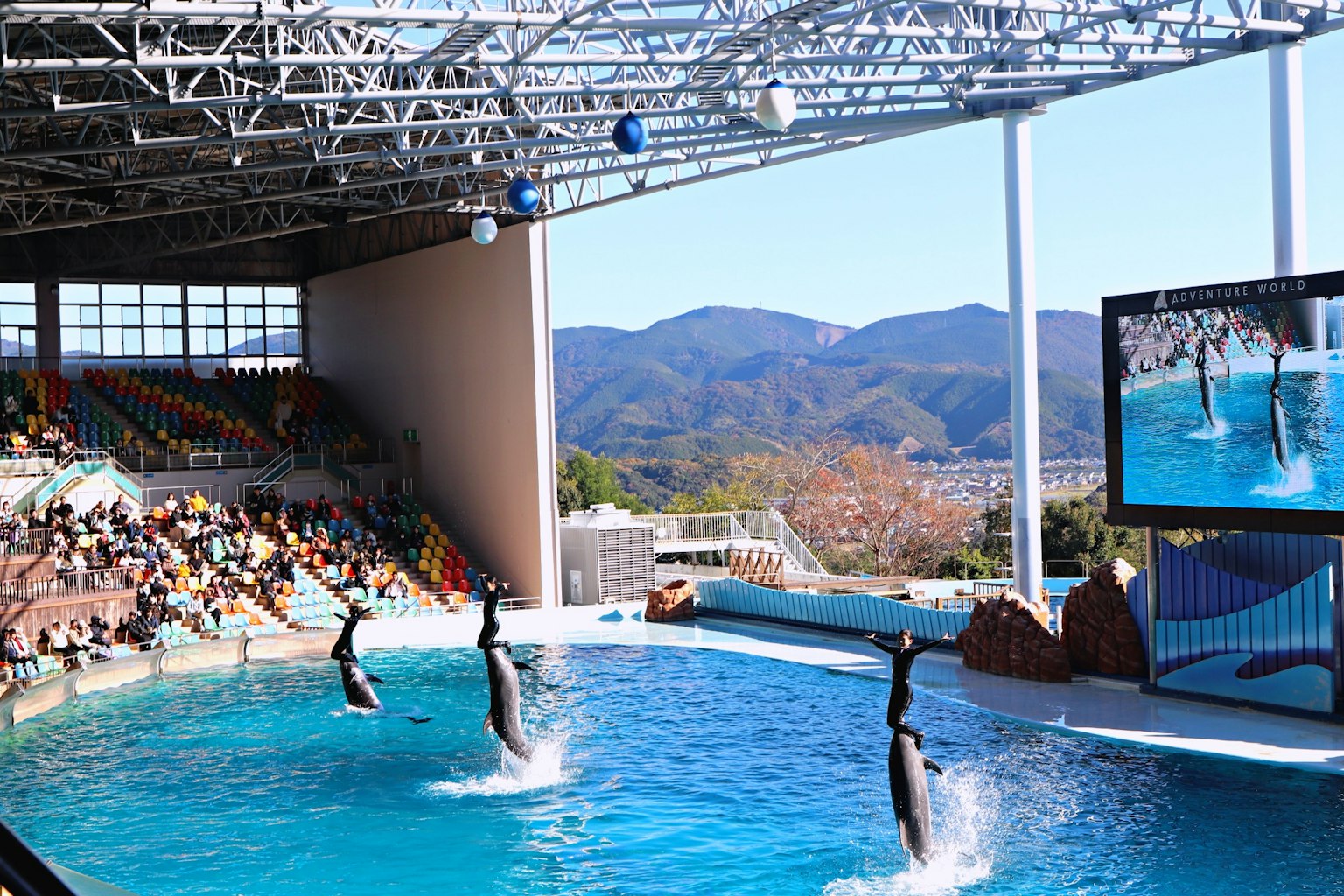Delfine springen in einer Aufführung im Aquarium mit Zuschauerplätzen und Bergen im Hintergrund