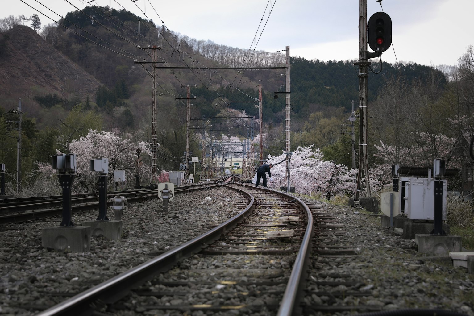 Malerscher Blick auf Bahngleise mit Kirschblüten
