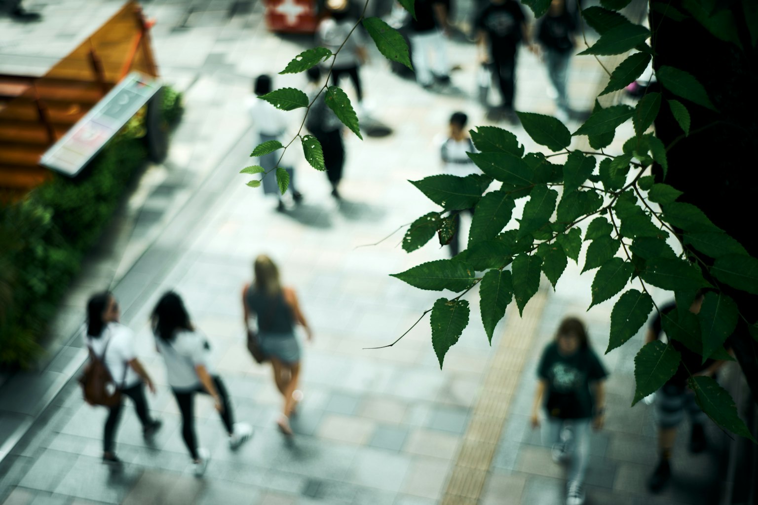 Premier plan de feuilles vertes avec une foule de personnes marchant dans la rue en arrière-plan