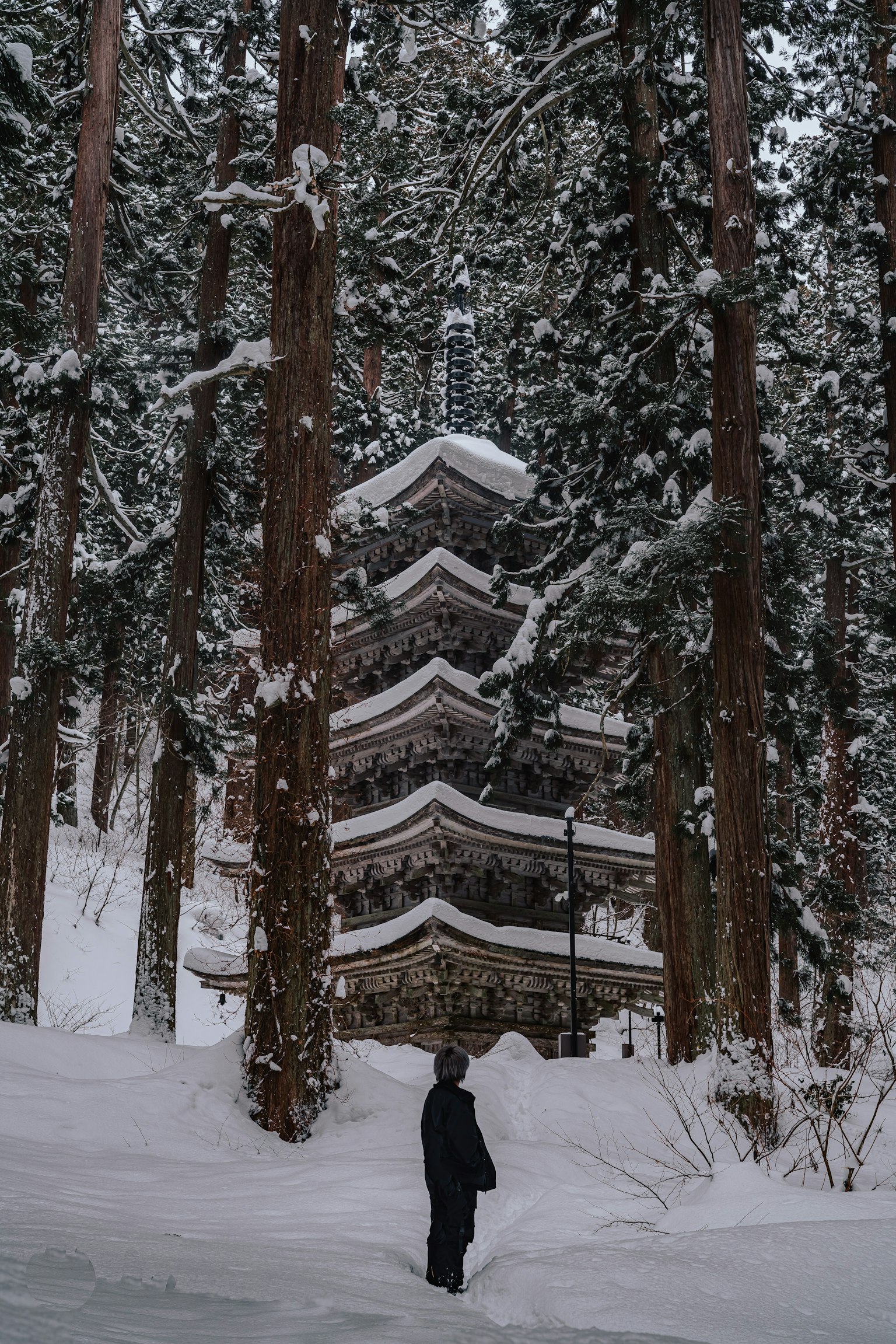 photo-iZNp5dNrxKzqaQzQiNfx-image