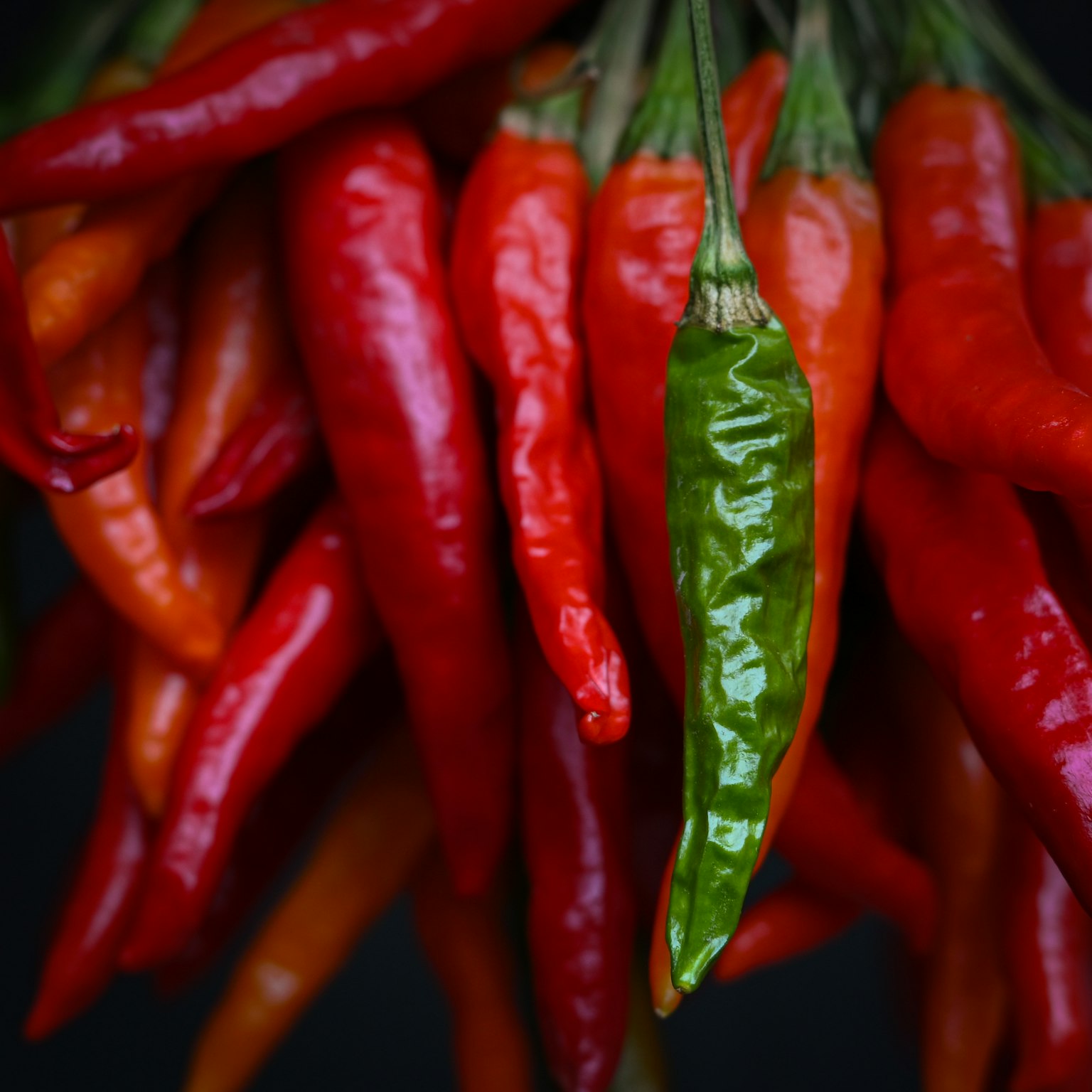 Lebendige rote und grüne Chilischoten hängen zusammen