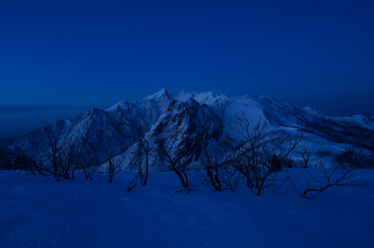 Silhouette de montagnes enneigées et d'arbres nus sous un ciel nocturne bleu