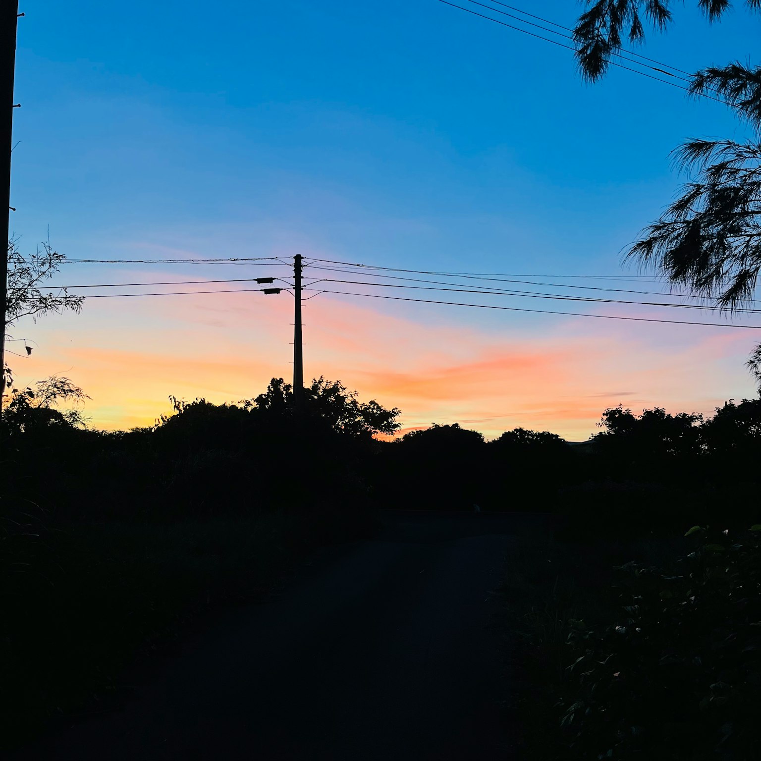 Silhouette von Bäumen vor einem bunten Sonnenuntergangshimmel