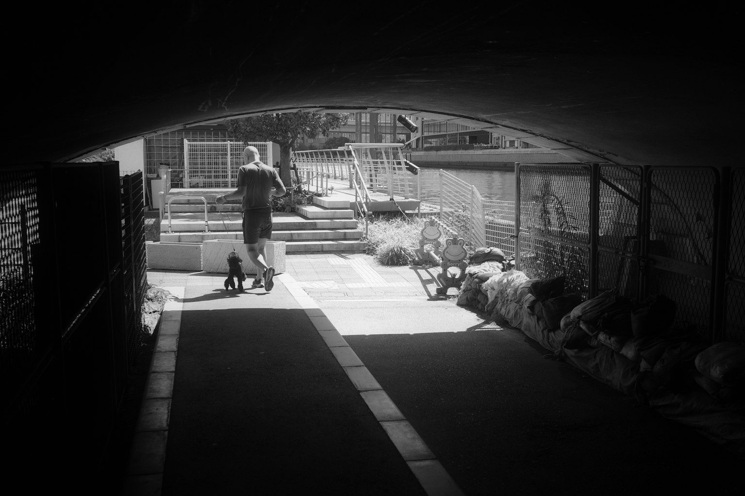 photo-ibNcZByaAV2UGz2EgXtJ-image
