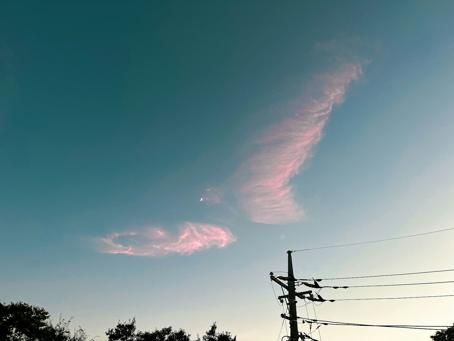 藍天下的粉色雲朵和電線的輪廓