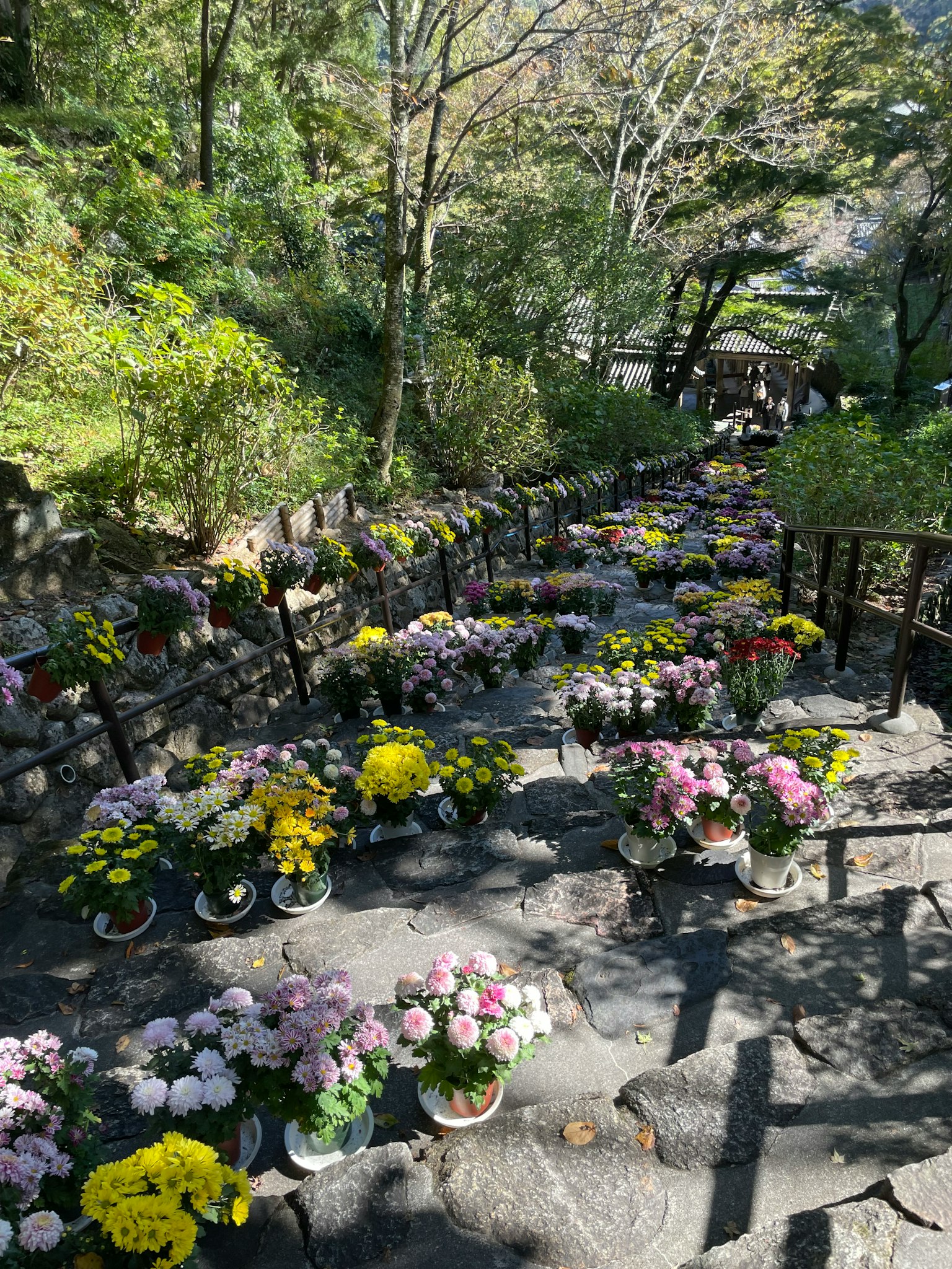 Colorful flowers arranged along stone steps surrounded by greenery