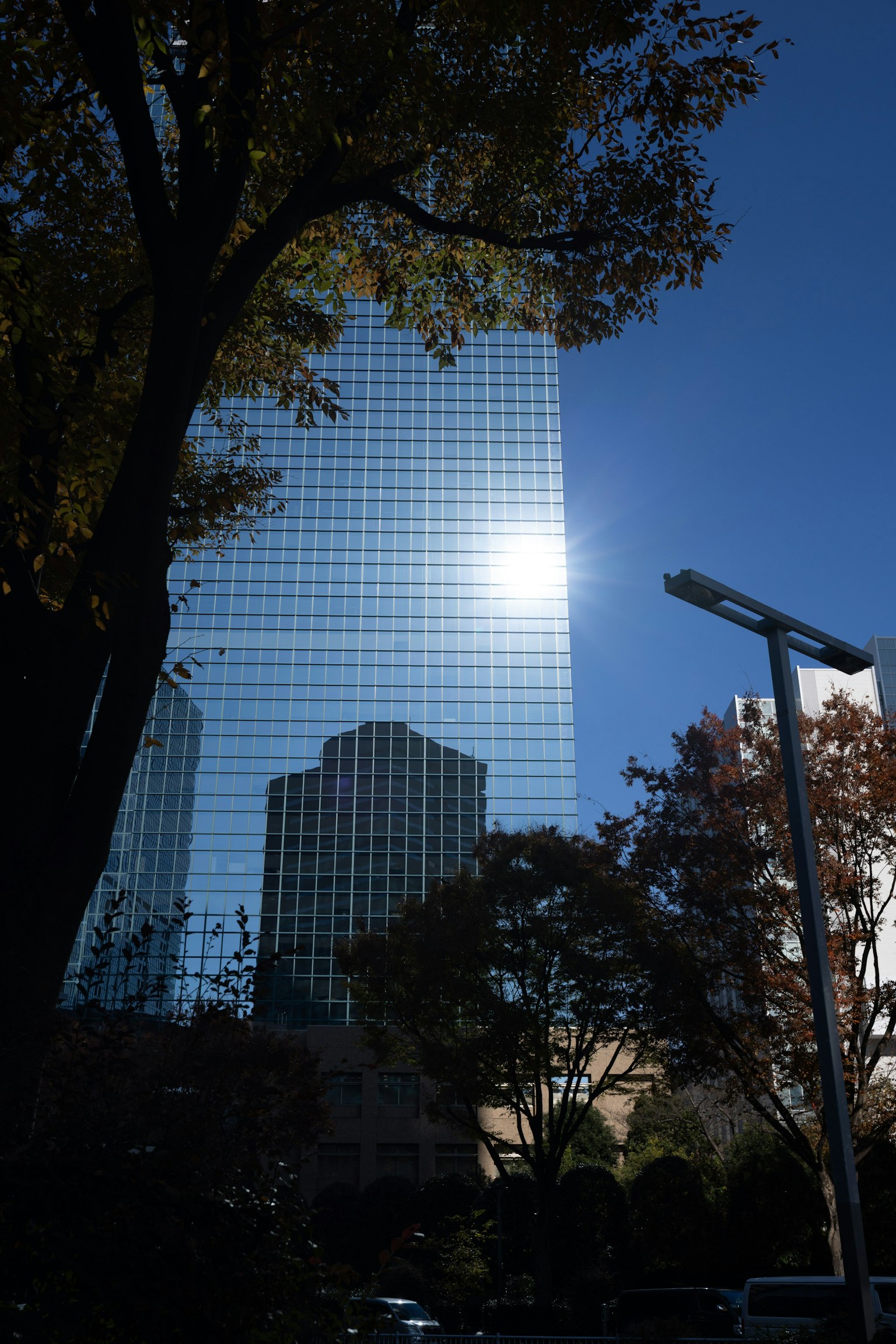 Reflection of a skyscraper with autumn trees in the foreground