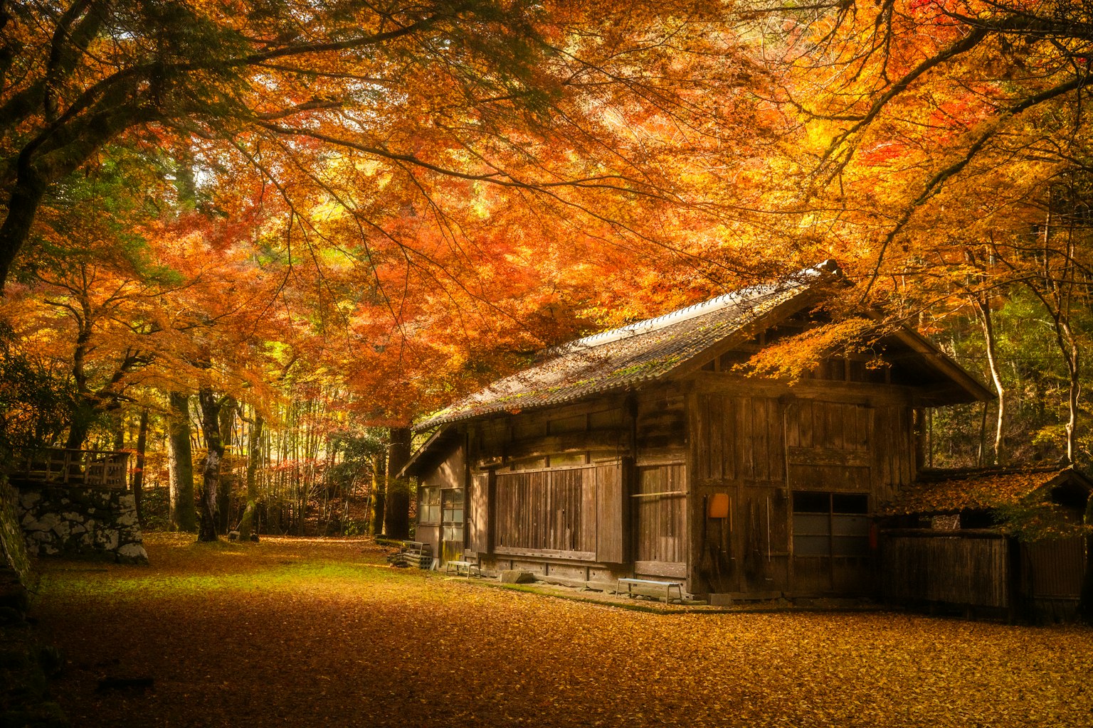 photo-icvTUGVQEQhYFV2jJgxC-image