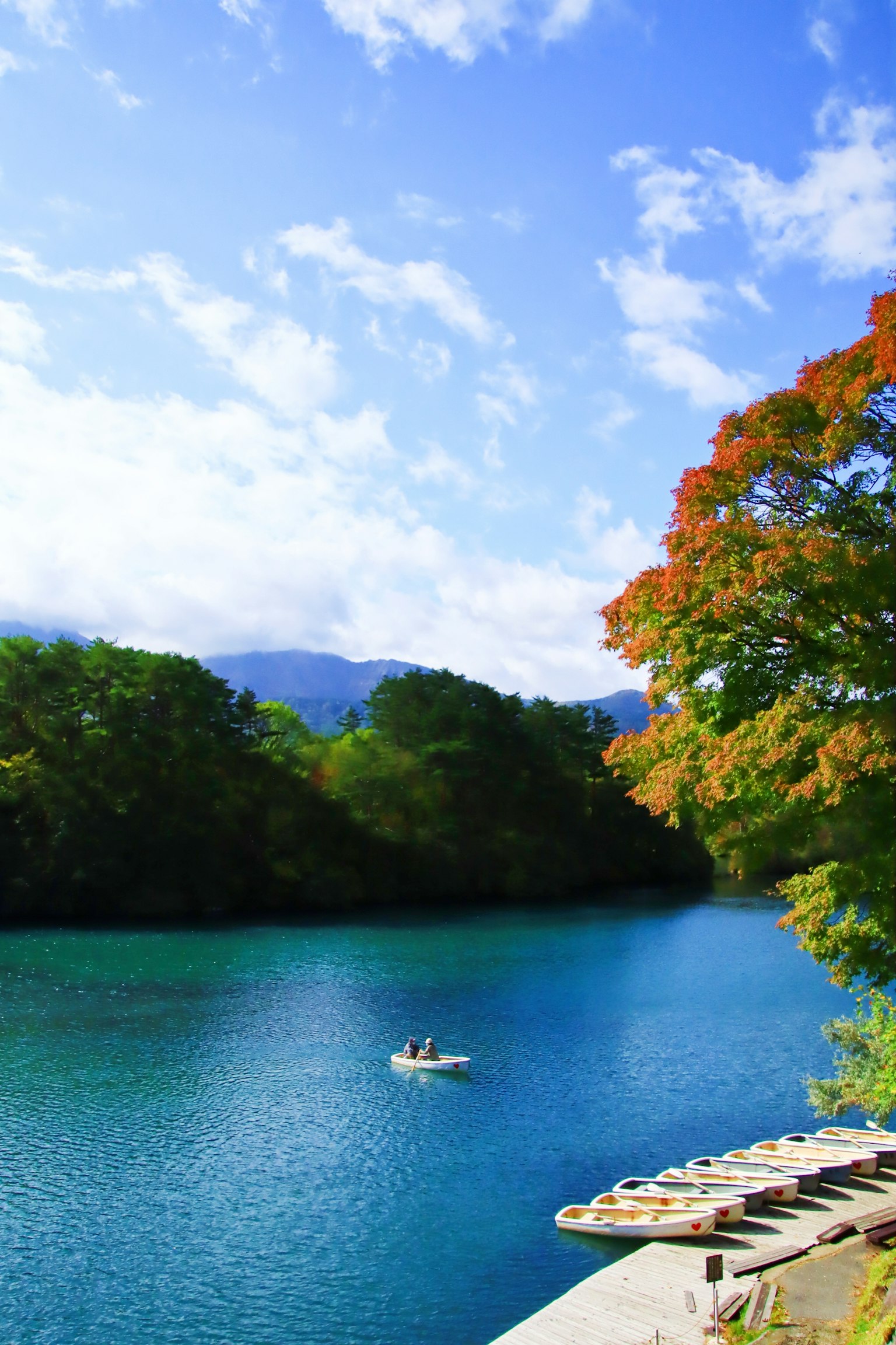 photo-id1ga0wezSos5p8q9jWK-image