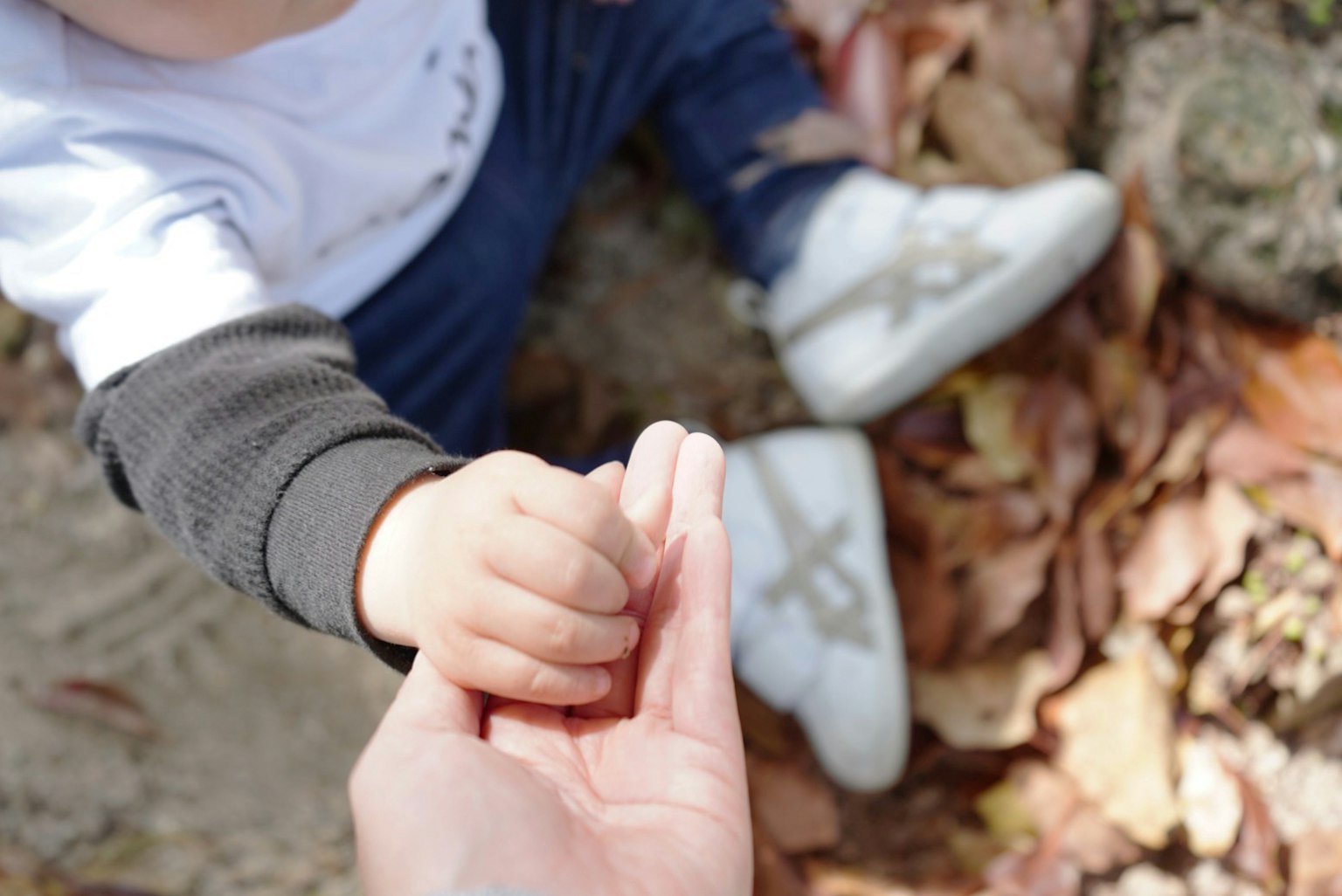 Niño y adulto tomados de la mano Niño sentado sobre hojas secas con zapatos blancos