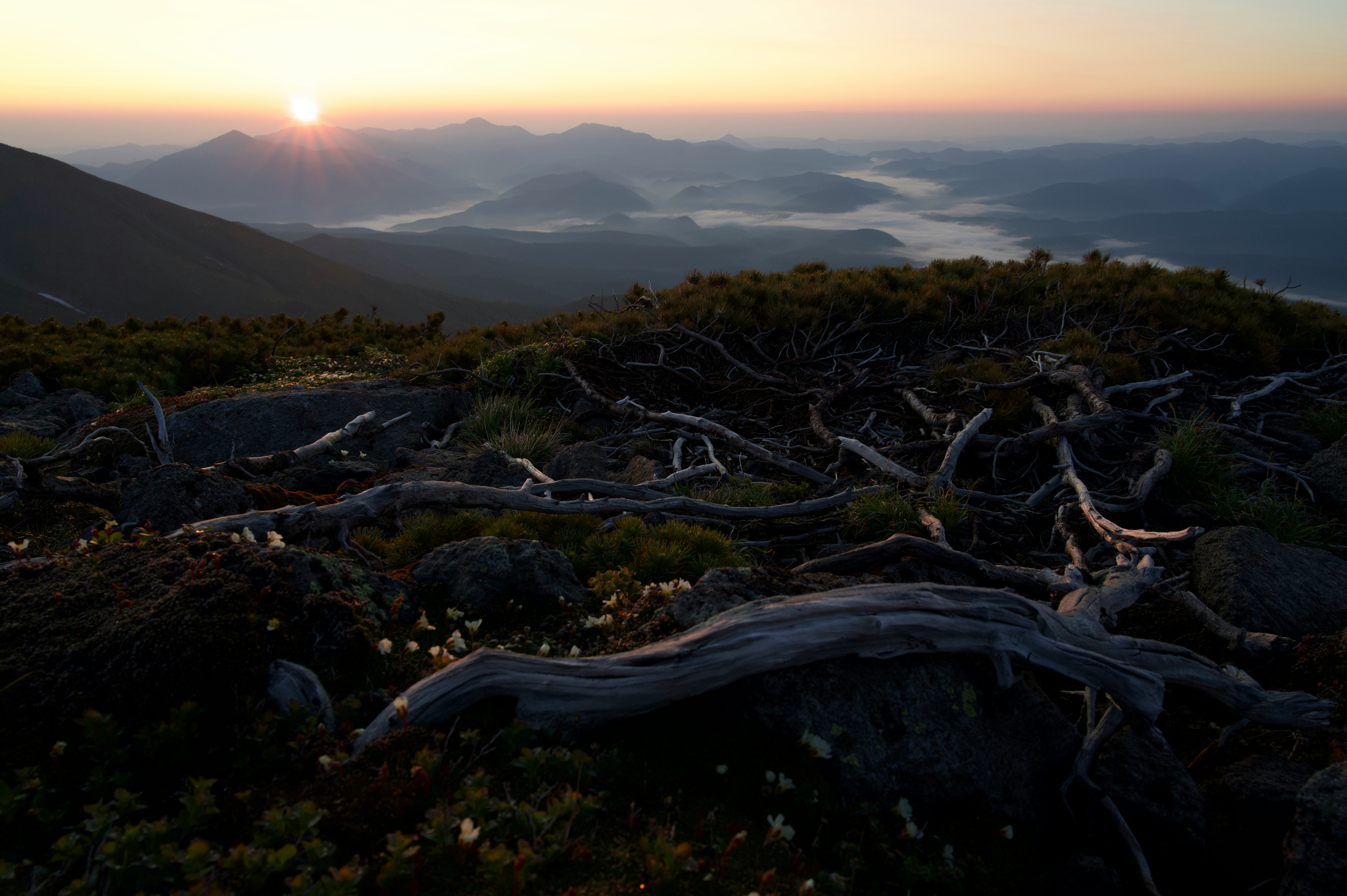 夕阳下的海岸漂木与远山剪影风景