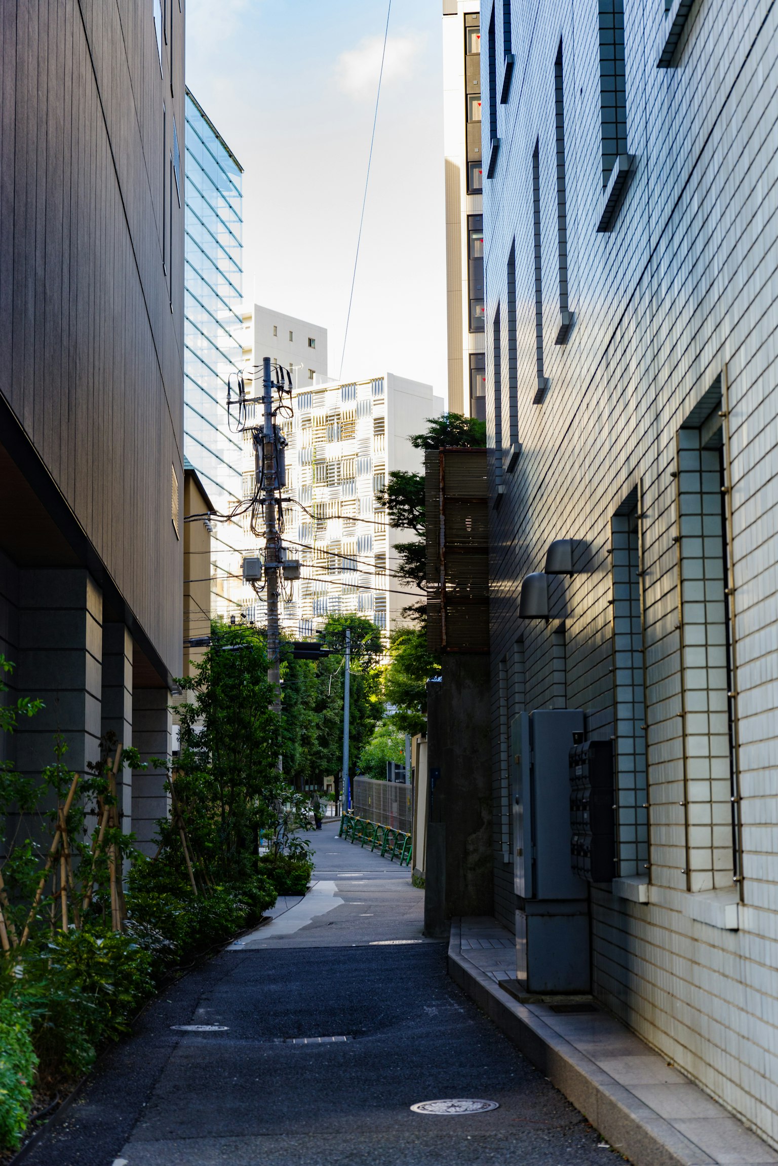 Städtische Gasse mit modernen Gebäuden und Grünflächen