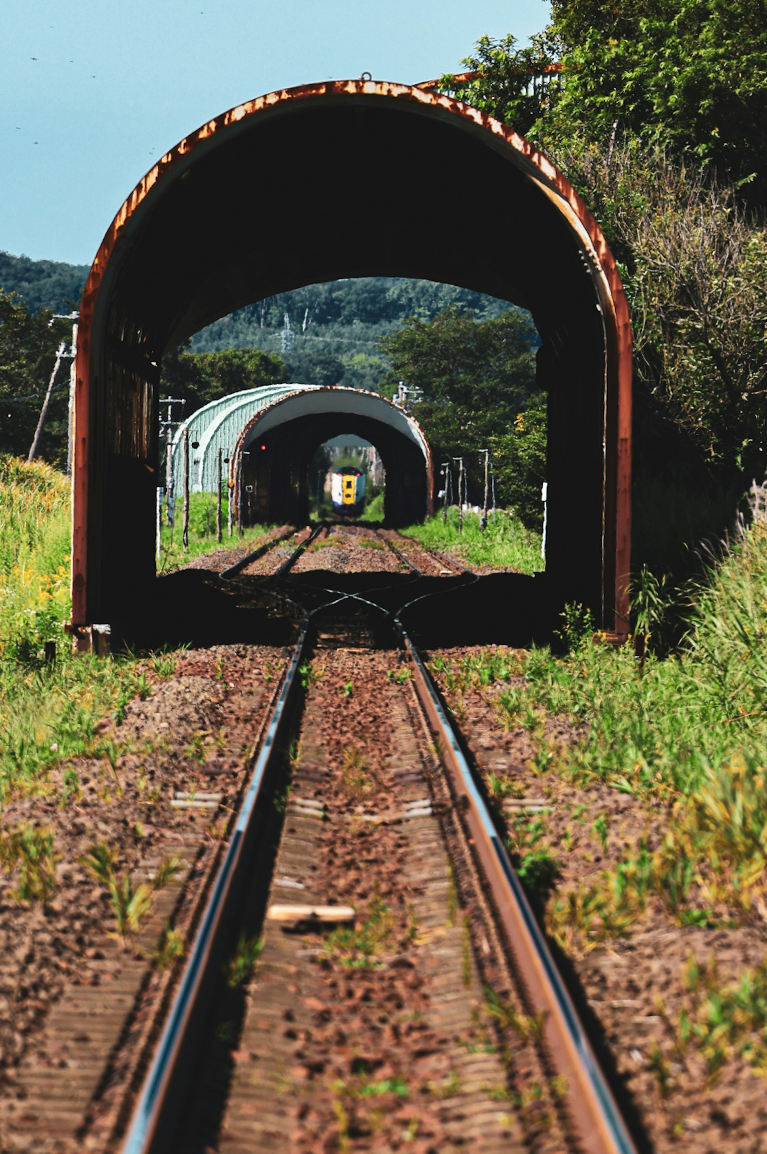 มุมมองของอุโมงค์รถไฟที่มีหญ้าสีเขียวและรางรถไฟ