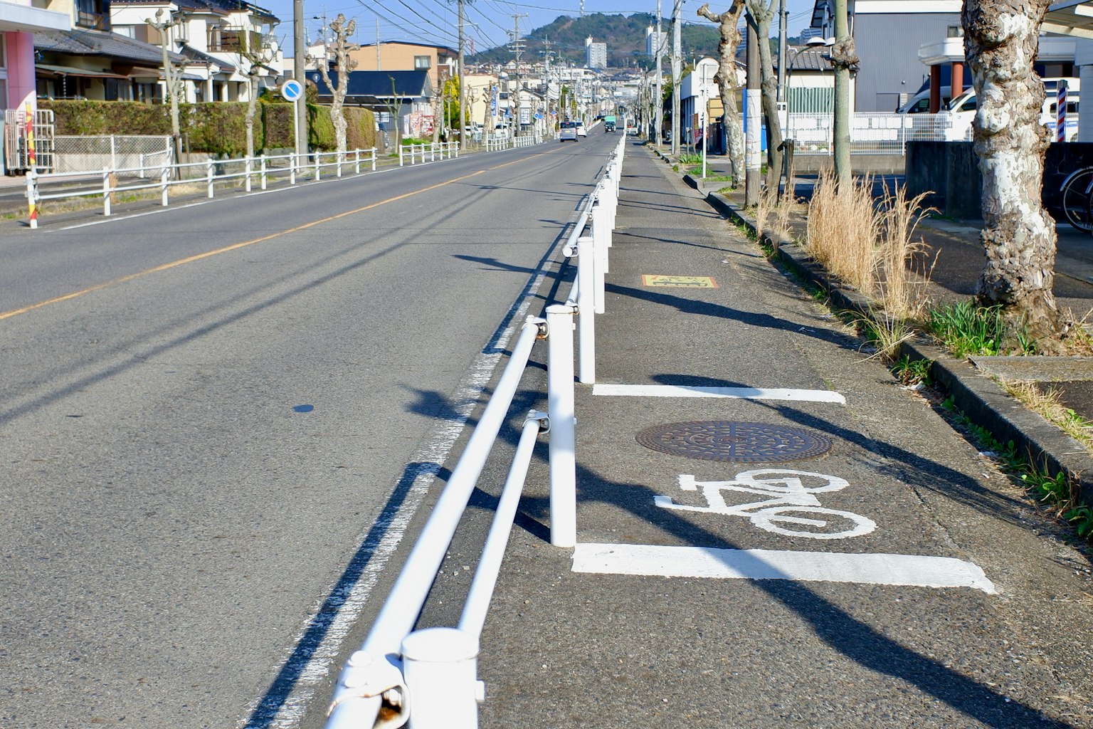 A road with a white bicycle symbol beside a white railing and grass