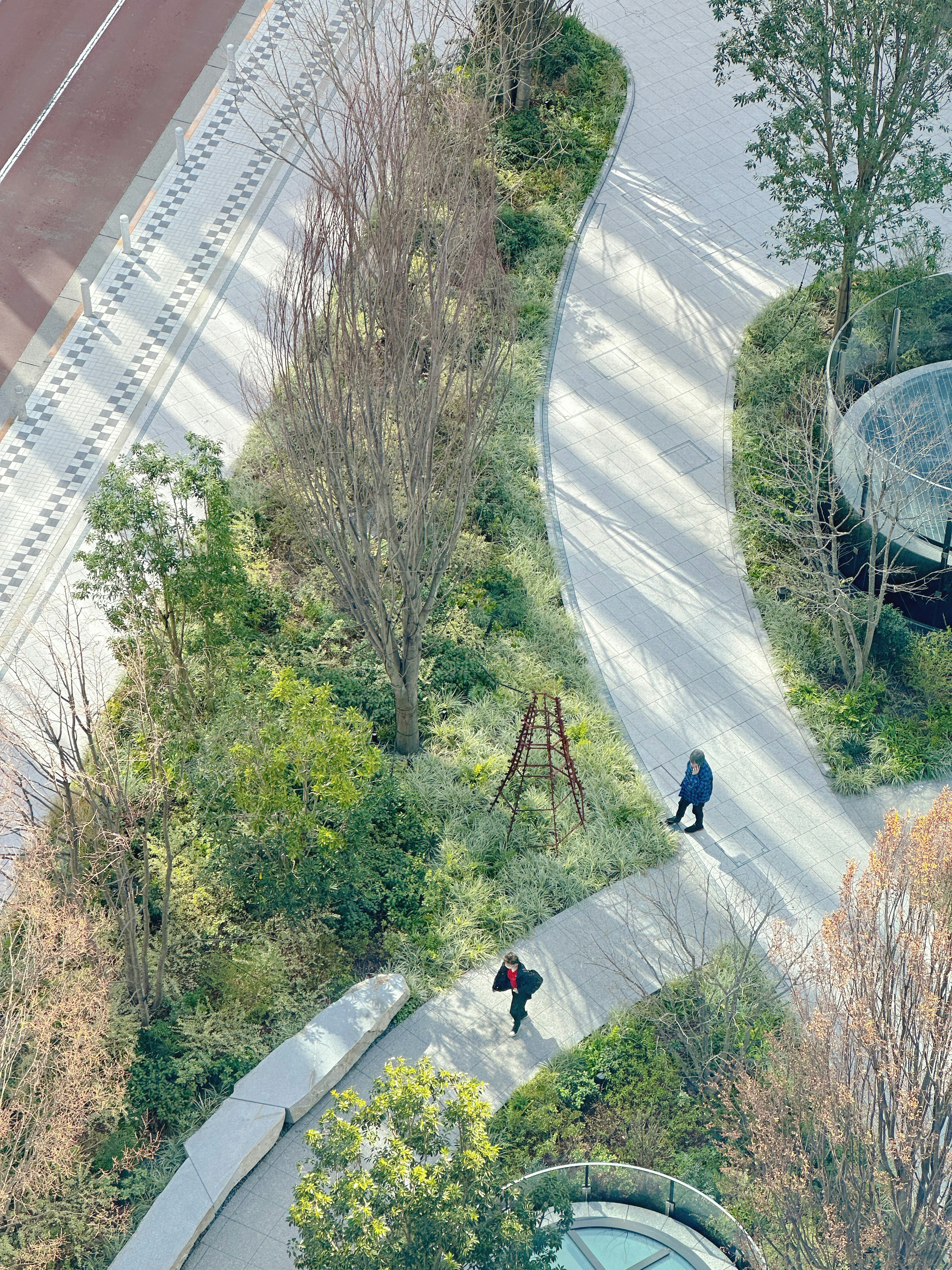 春の光の中の並木道と曲線の歩道