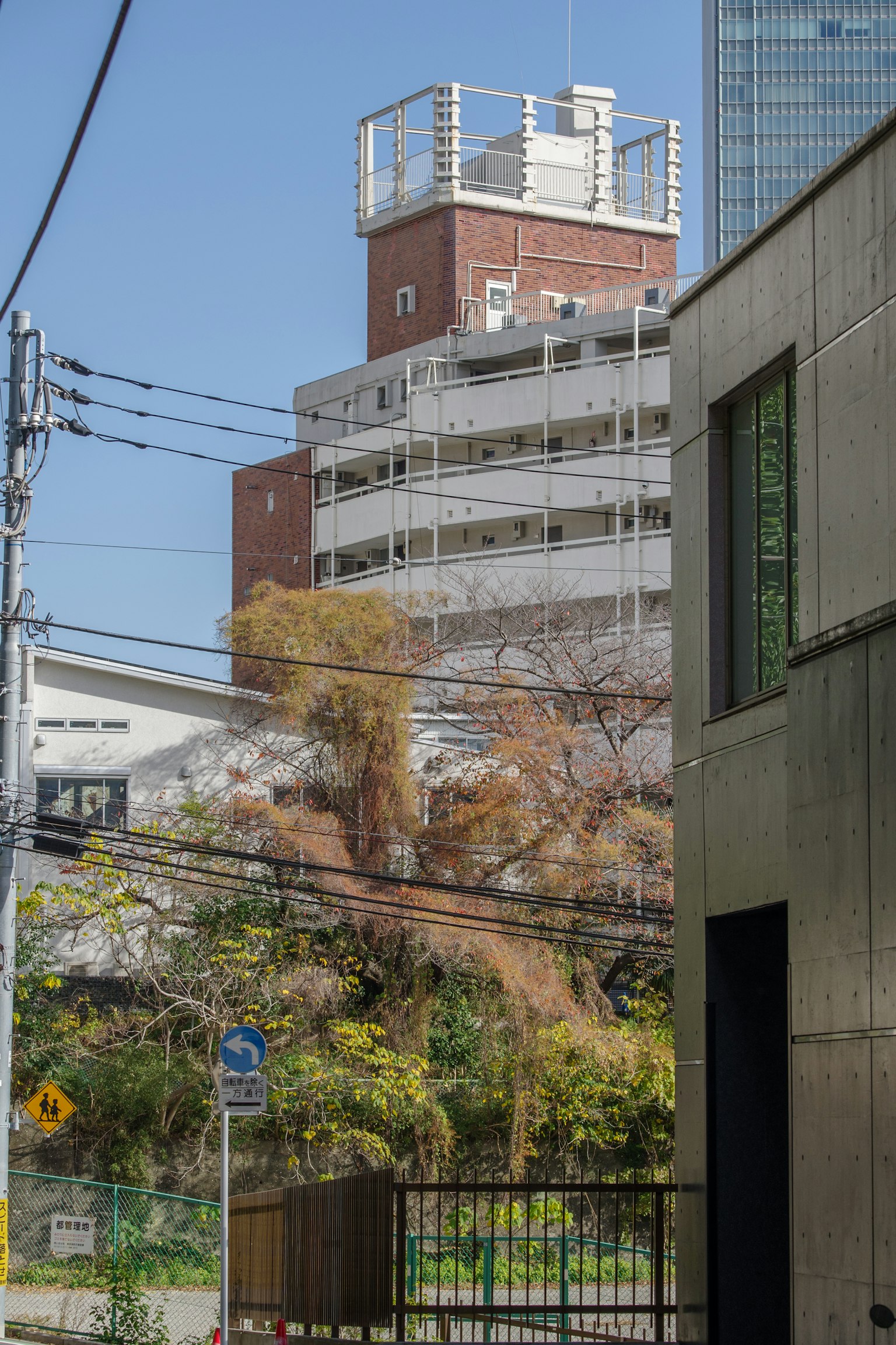 展示建築與自然和諧的城市景觀