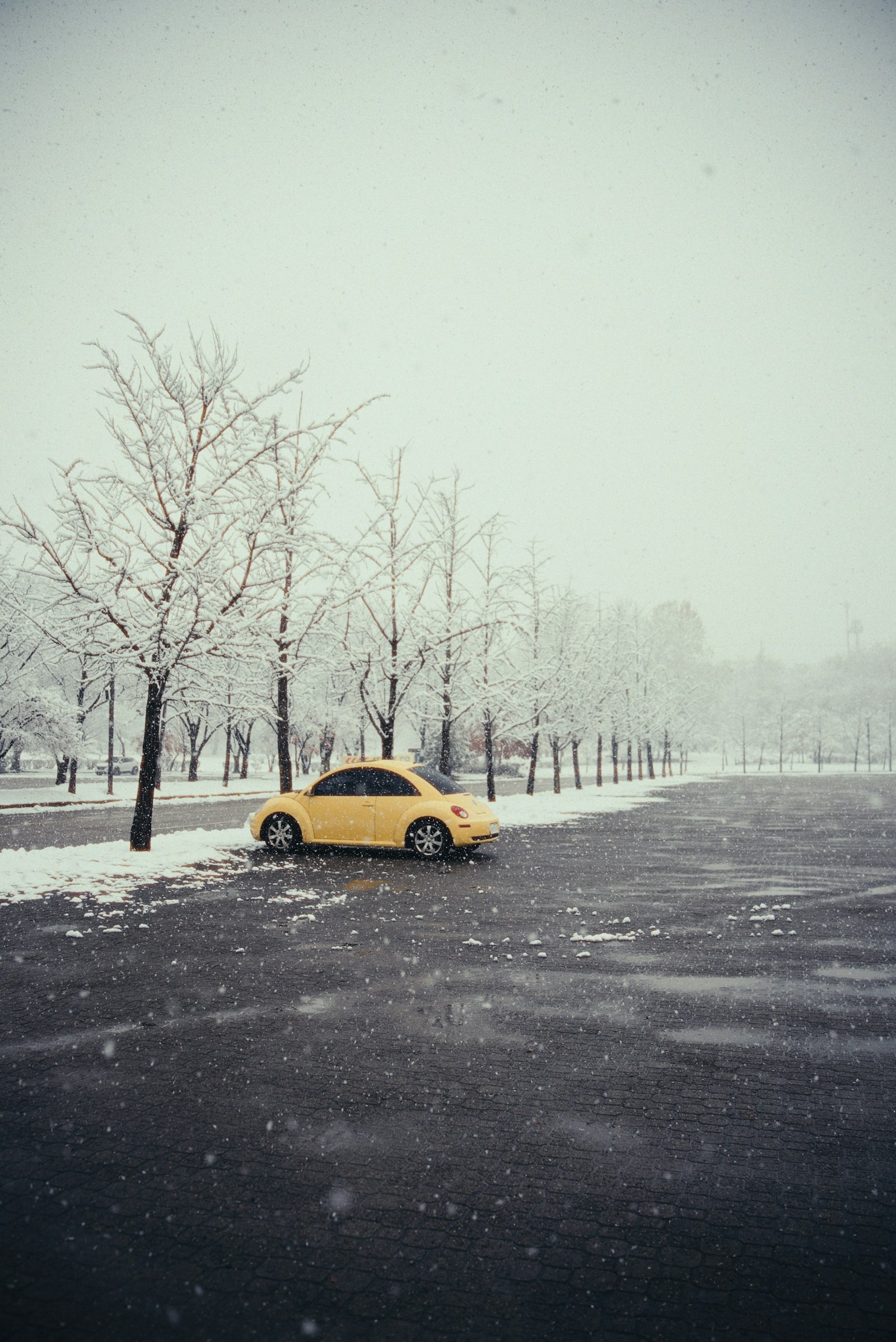 雪の中に停まっている黄色い車と裸の木々