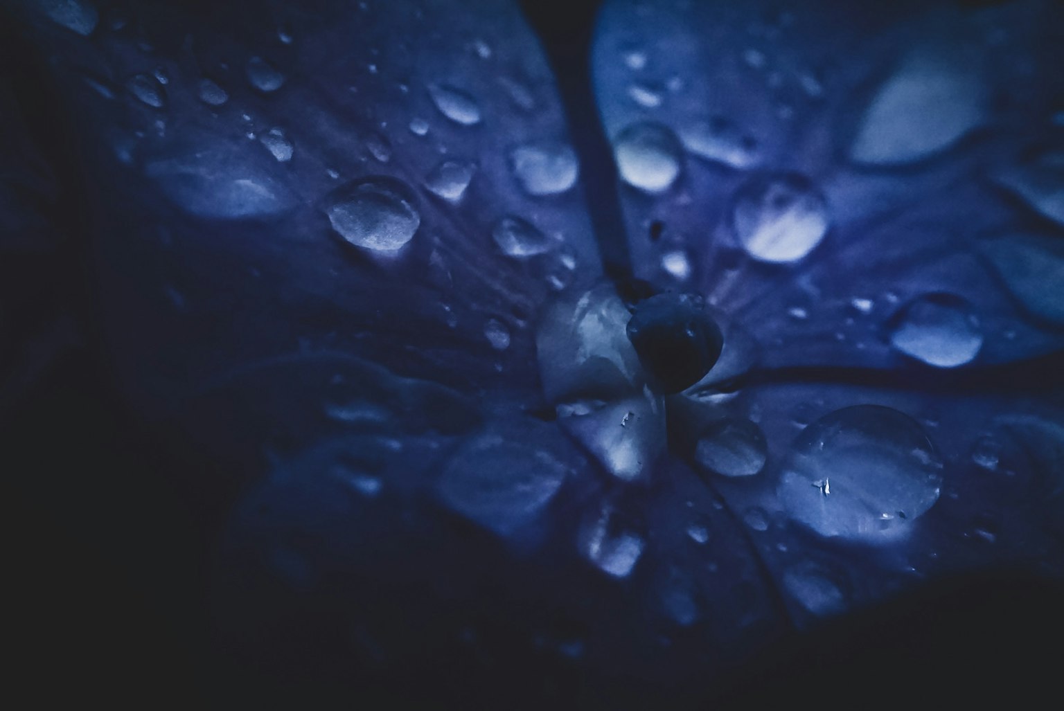 photo-iezunJn2vevh9DKax6Ba-image