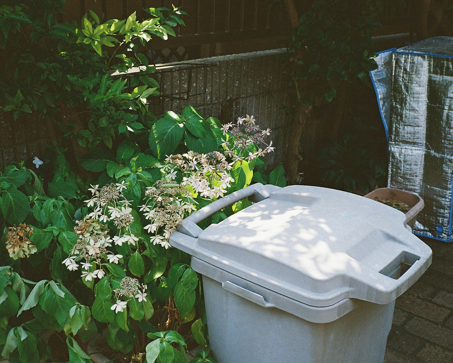 Une poubelle blanche à côté de plantes vertes luxuriantes et de fleurs blanches