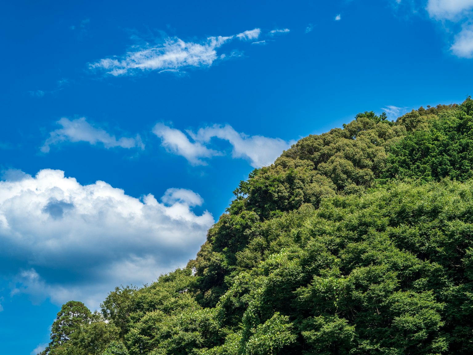 蓝天和郁郁葱葱山坡的风景