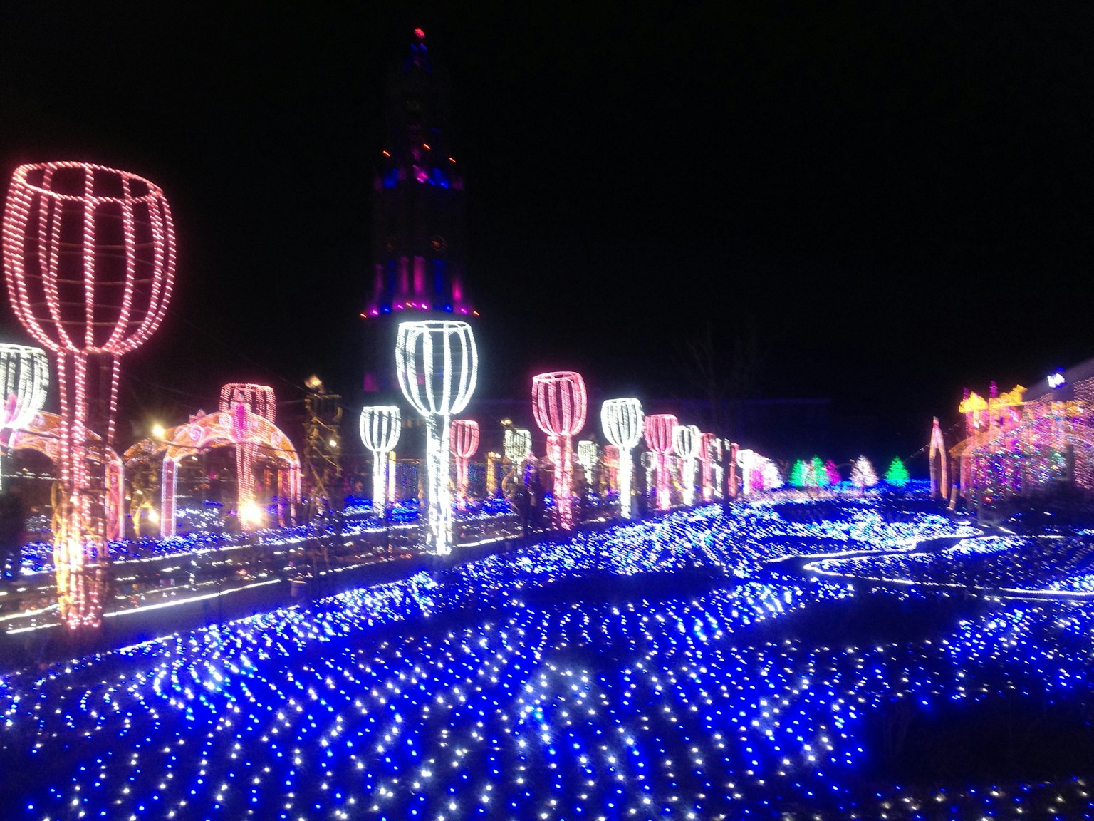 夜晚公園的景觀裝飾著多彩的燈光 各種照明形狀和圖案