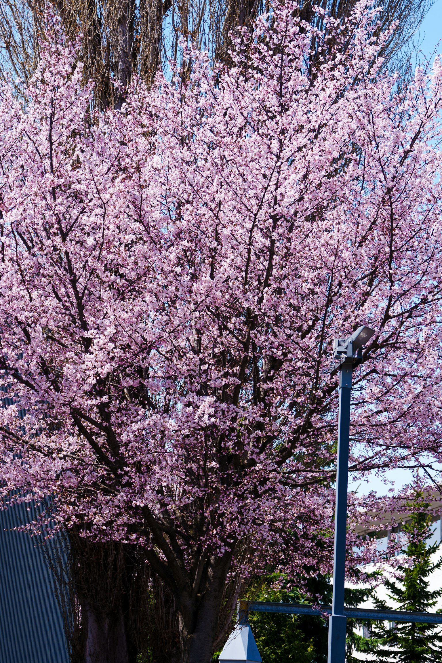 photo-ifszMPtCzz3S2TDiyNWt-image