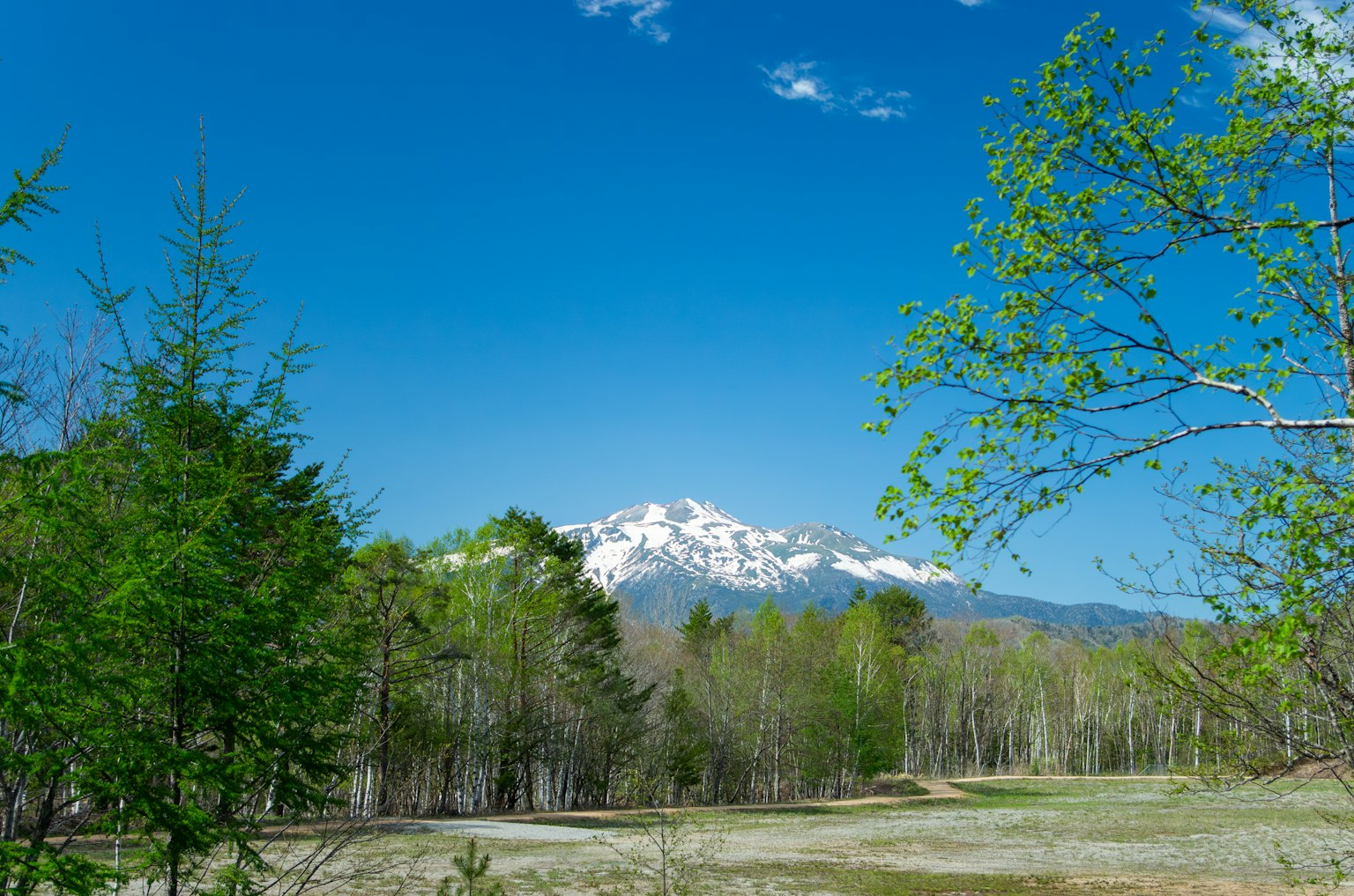 Snow-capped mountain under a blue sky with green trees