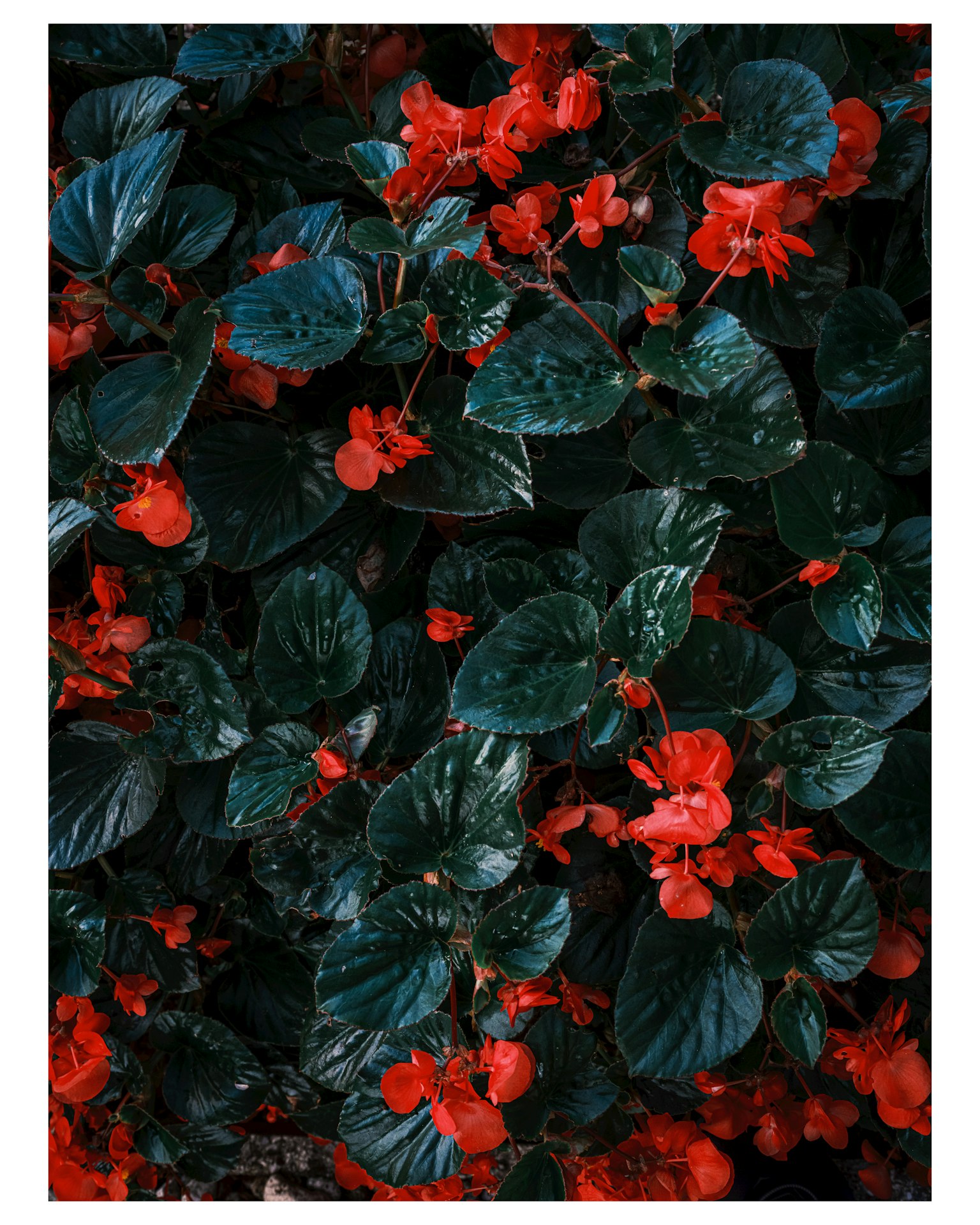 photo-ihtJEhAY6IiZaFLo85zr-image