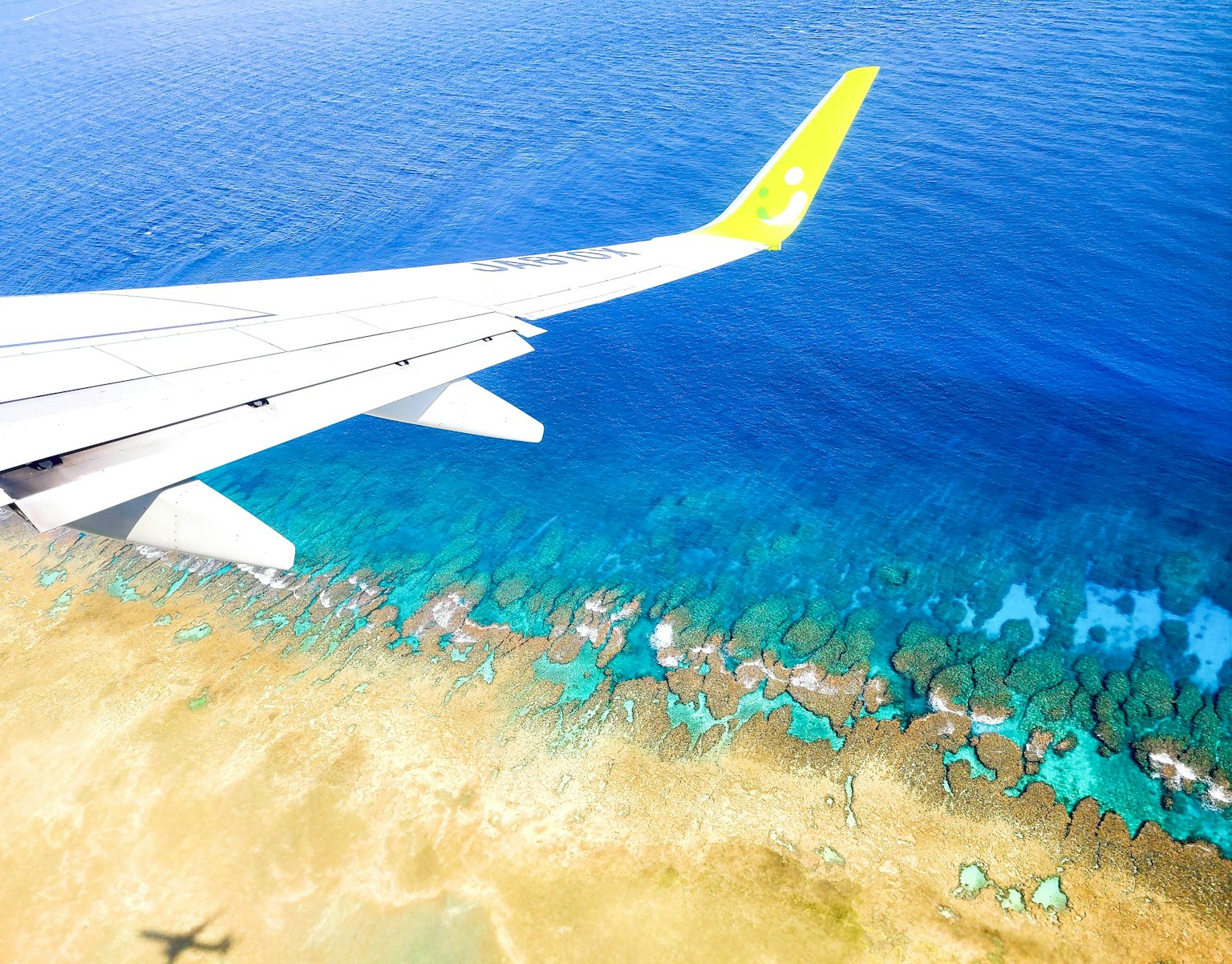 Cánh máy bay trên đại dương xanh tươi sáng và rạn san hô