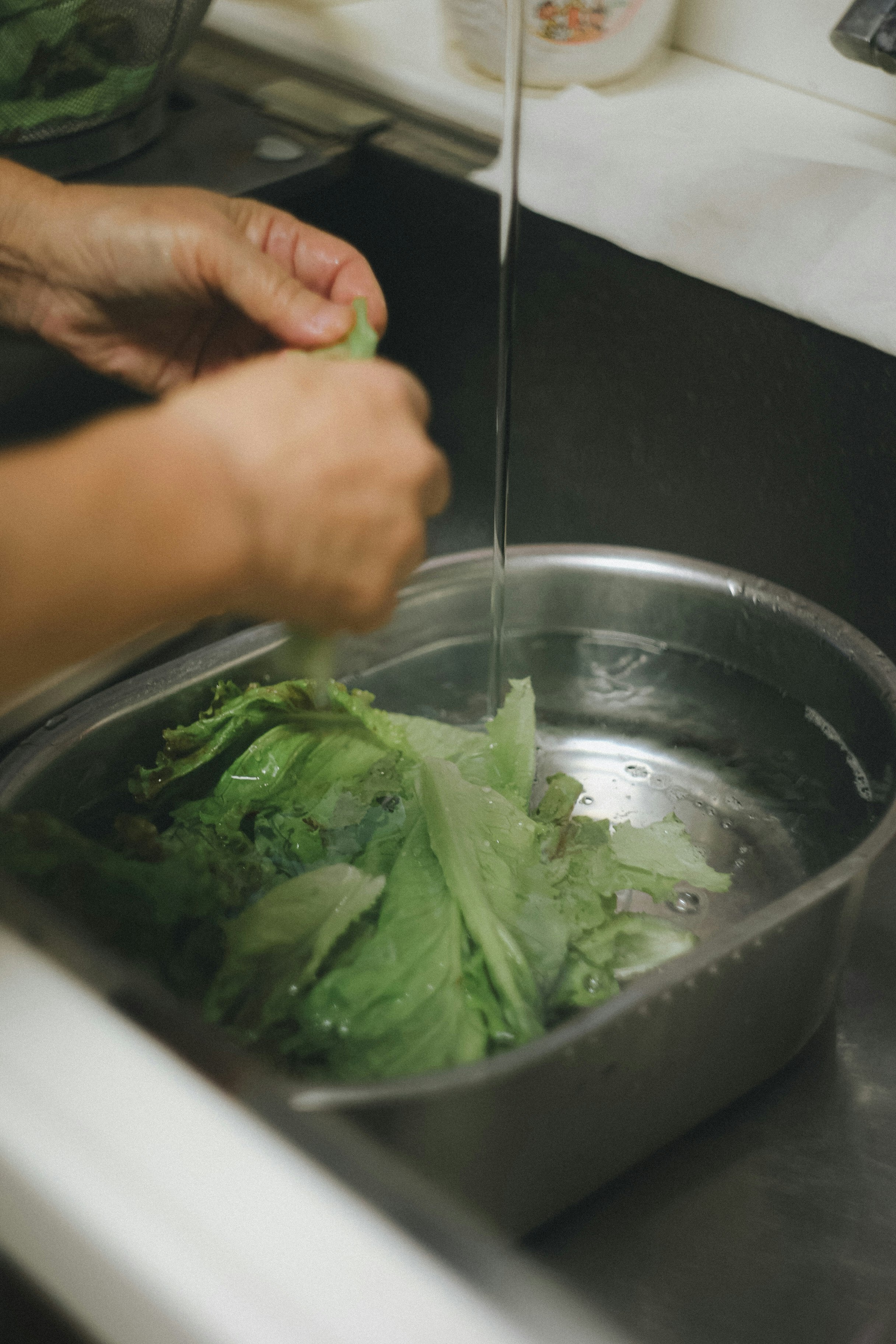 hands rinsing and adding leafy greens to a pot