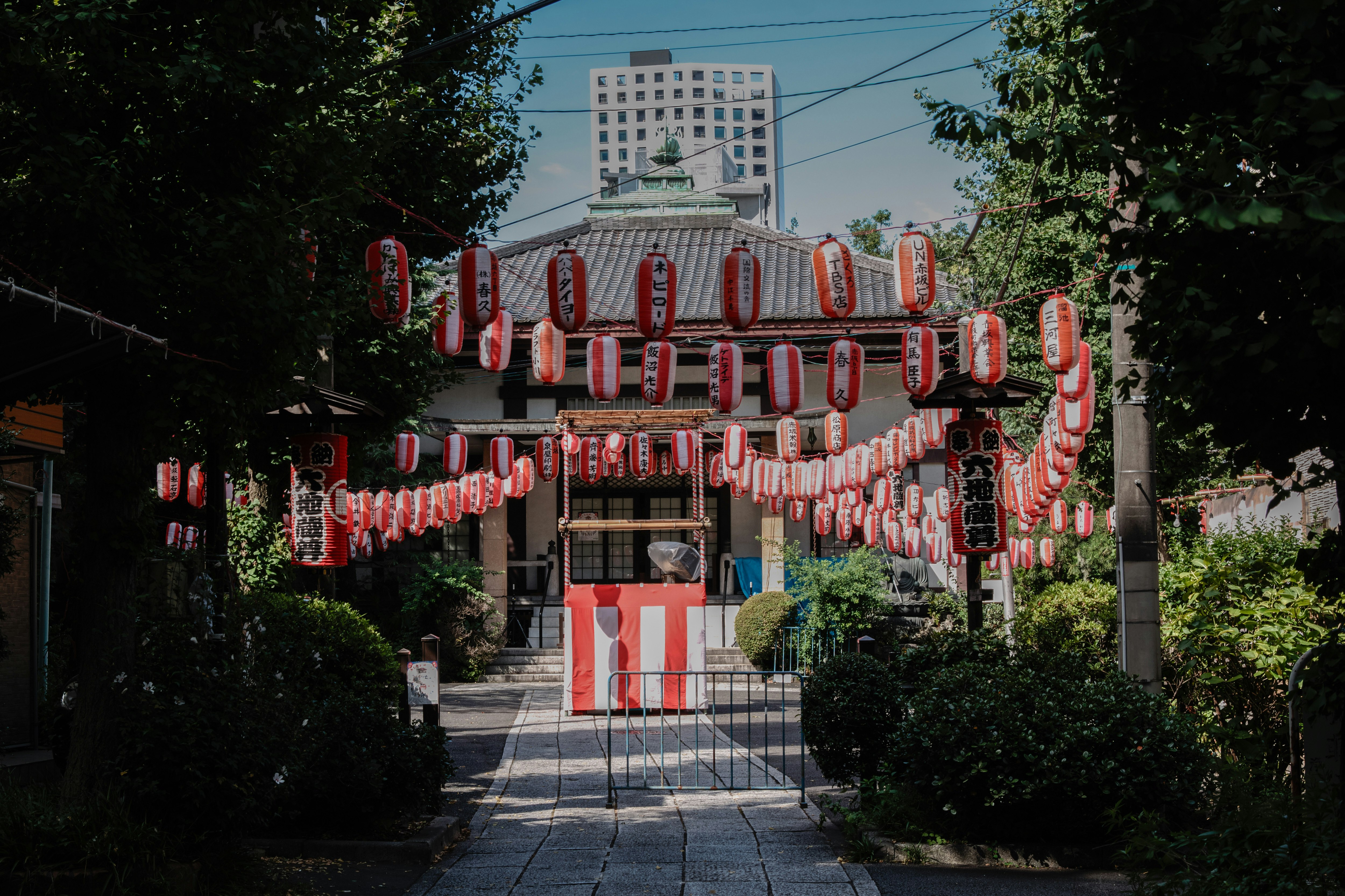 寺院の境内で赤い提灯が並ぶ祭りの参道