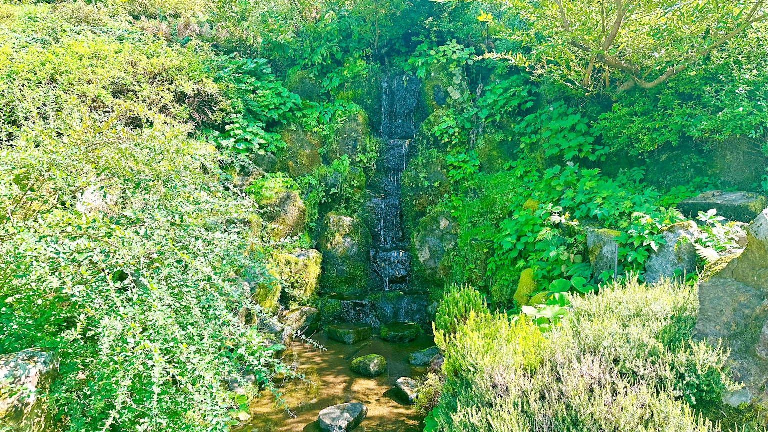 Pemandangan tenang dengan air terjun kecil dikelilingi oleh vegetasi subur