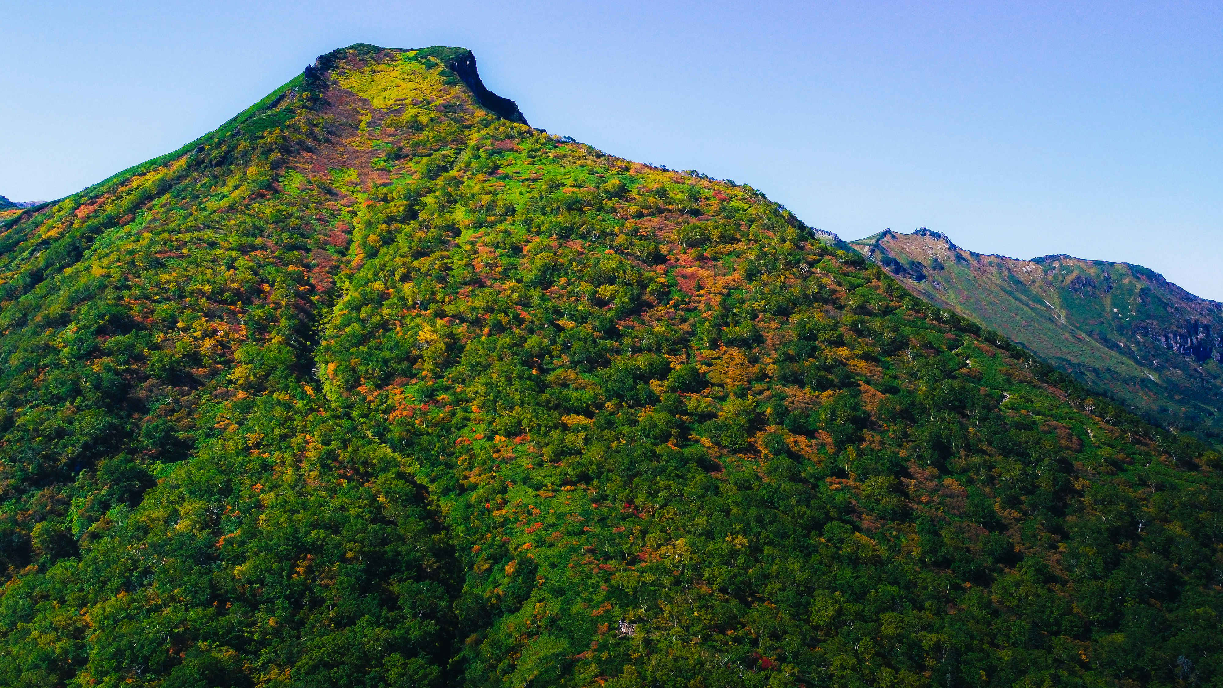 Bergkamm-Landschaft mit grünem und herbstlichem Bewuchs