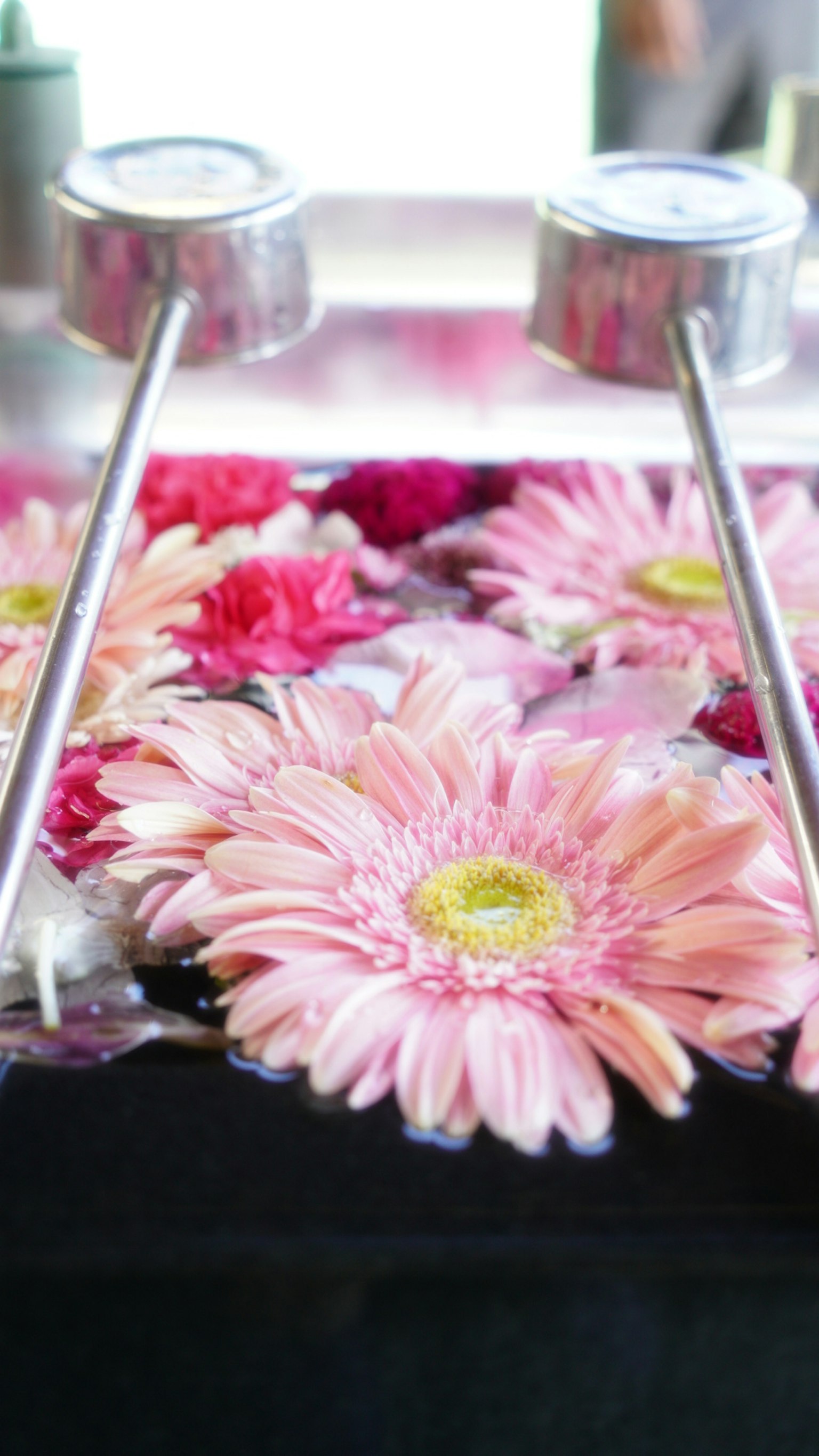 Metal tools above a surface of pink flowers in water