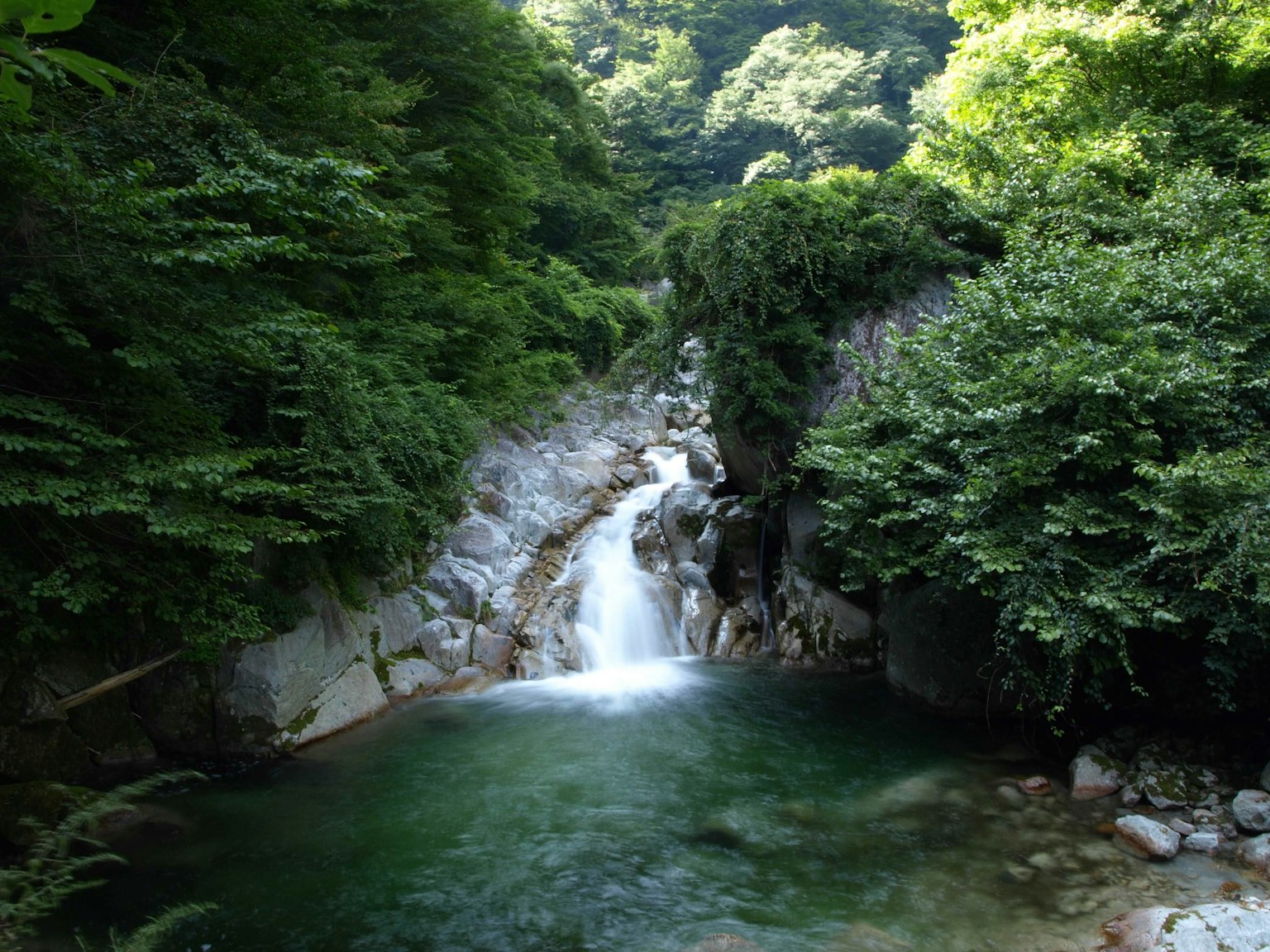Un arroyo claro y una cascada rodeados de un bosque frondoso