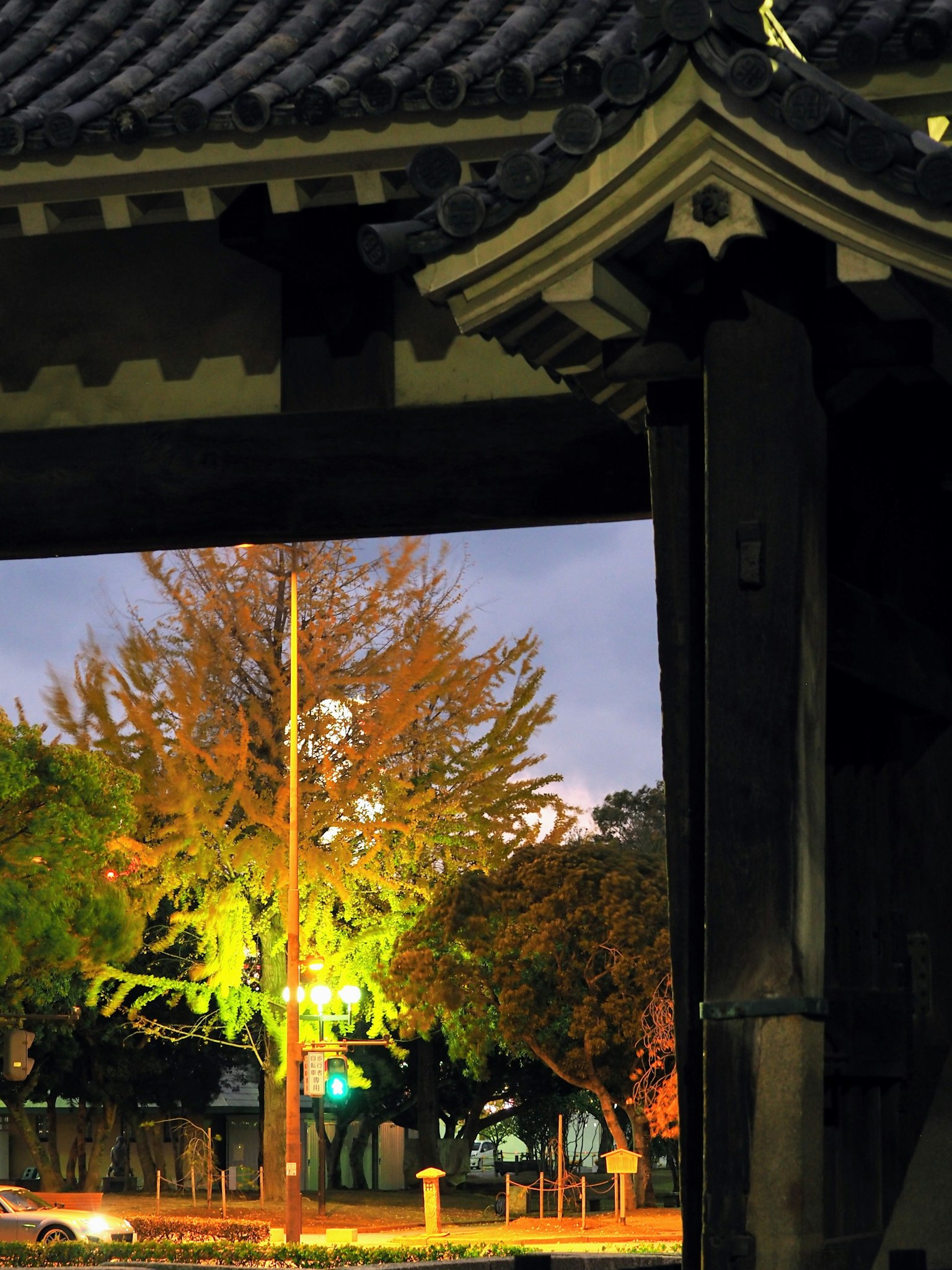 Night scene illuminated tree and traditional architecture