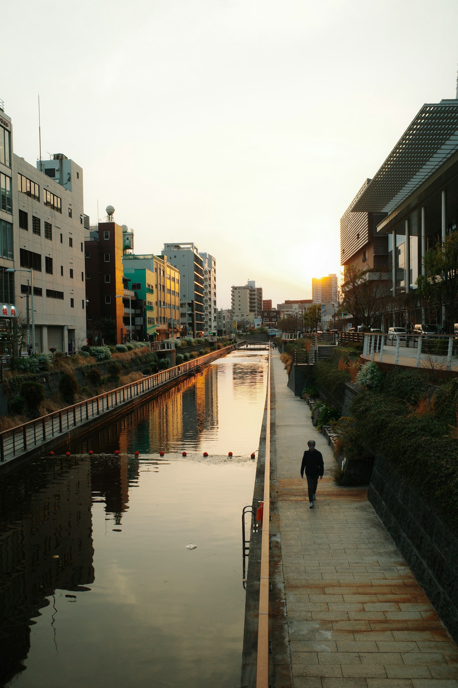 photo-ikDVACxY67F5rAIN1rRv-image