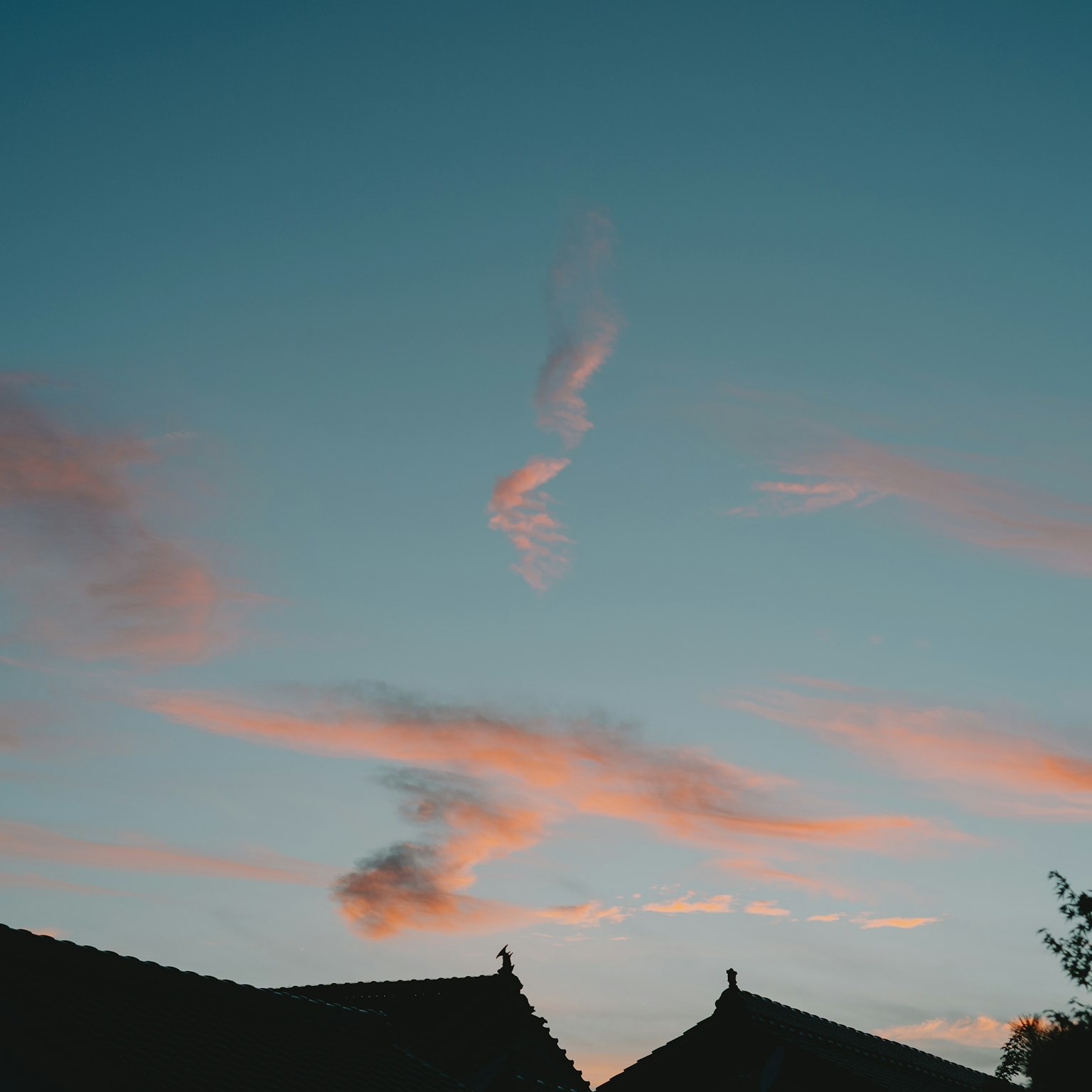 屋頂的剪影與夕陽下的細雲