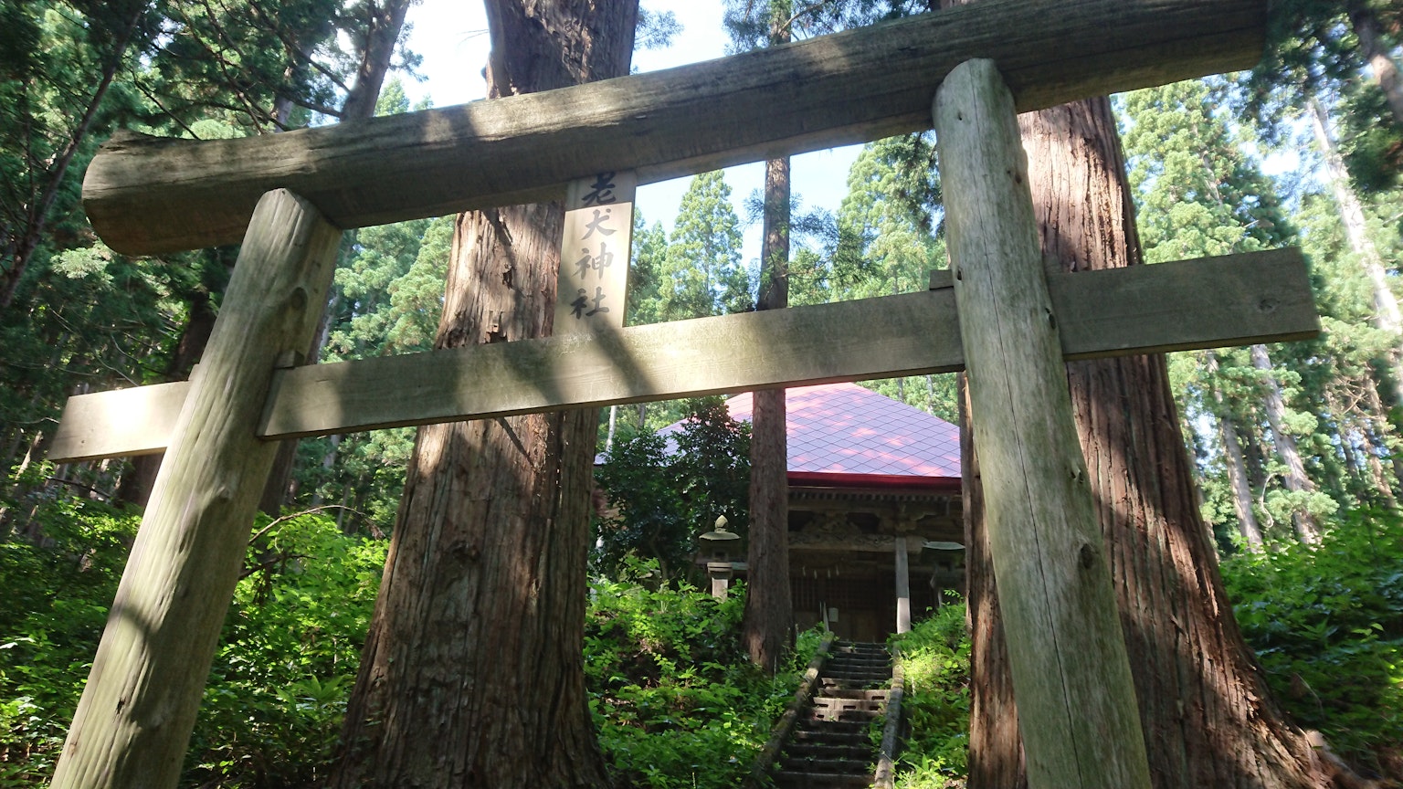 Vista de un torii y parte de un santuario en un bosque