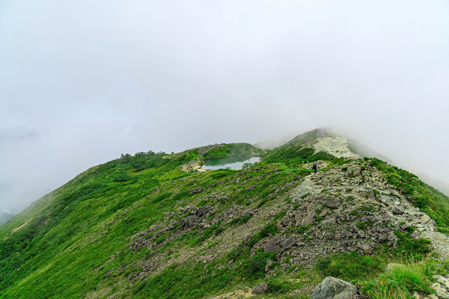 Pemandangan indah dari bukit yang ditutupi rumput hijau dan kabut