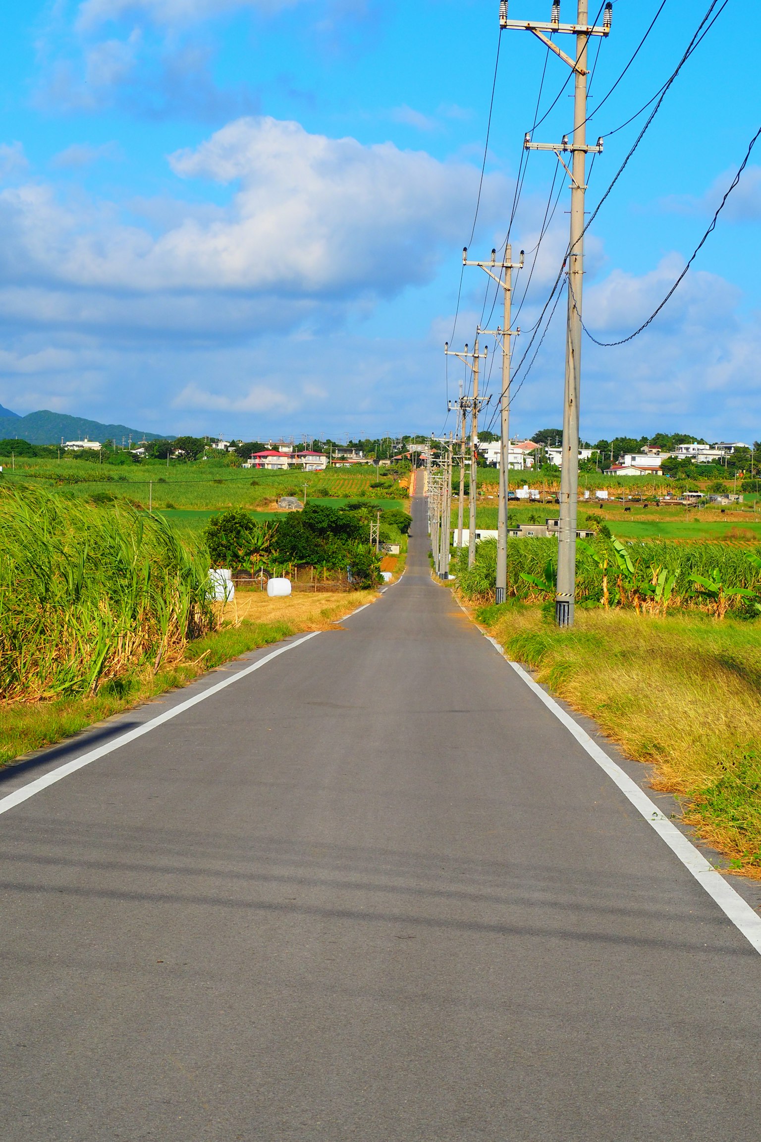 Jalan lurus dikelilingi ladang hijau di bawah langit biru