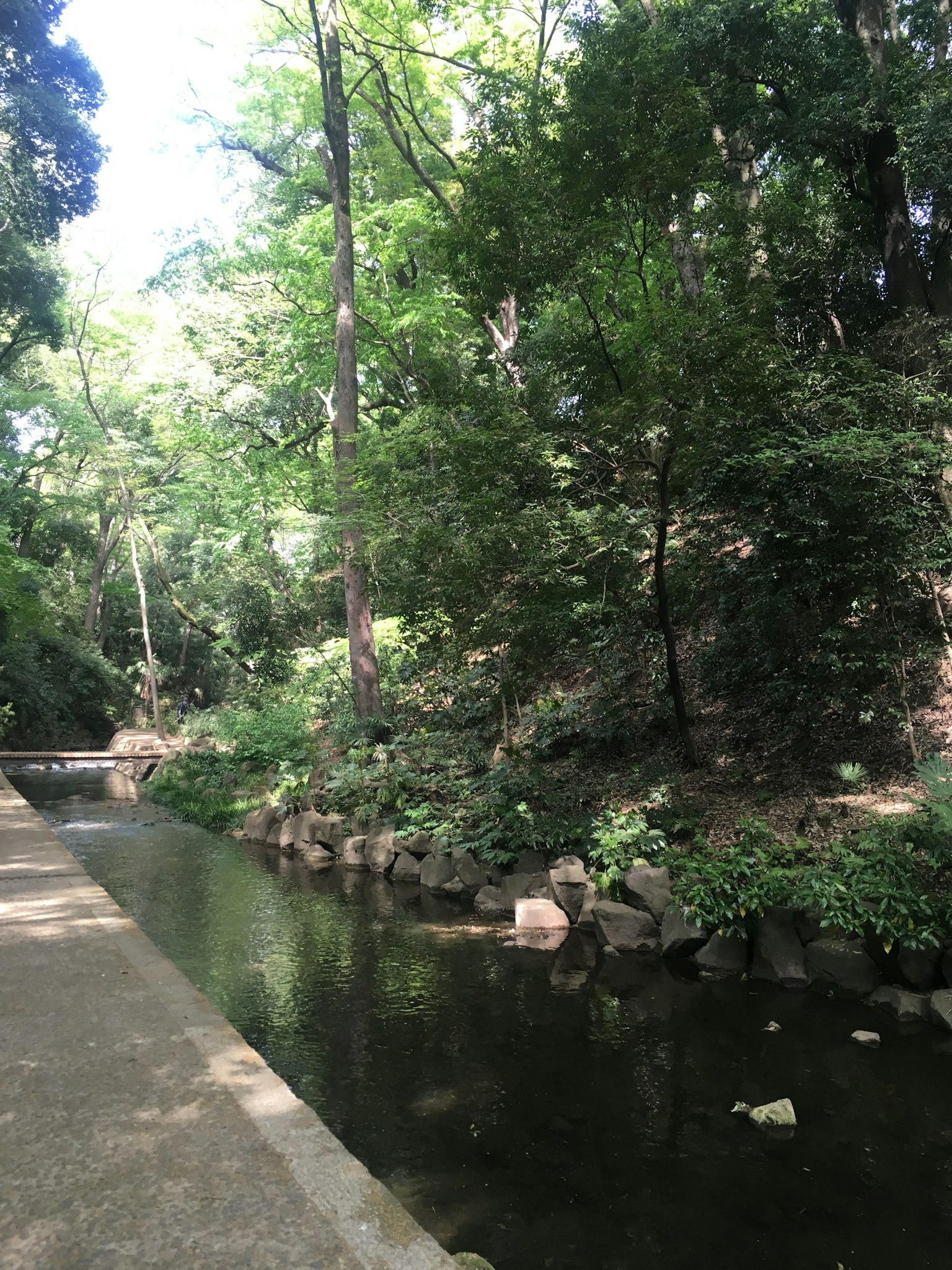 Pemandangan indah jalur taman di samping aliran tenang