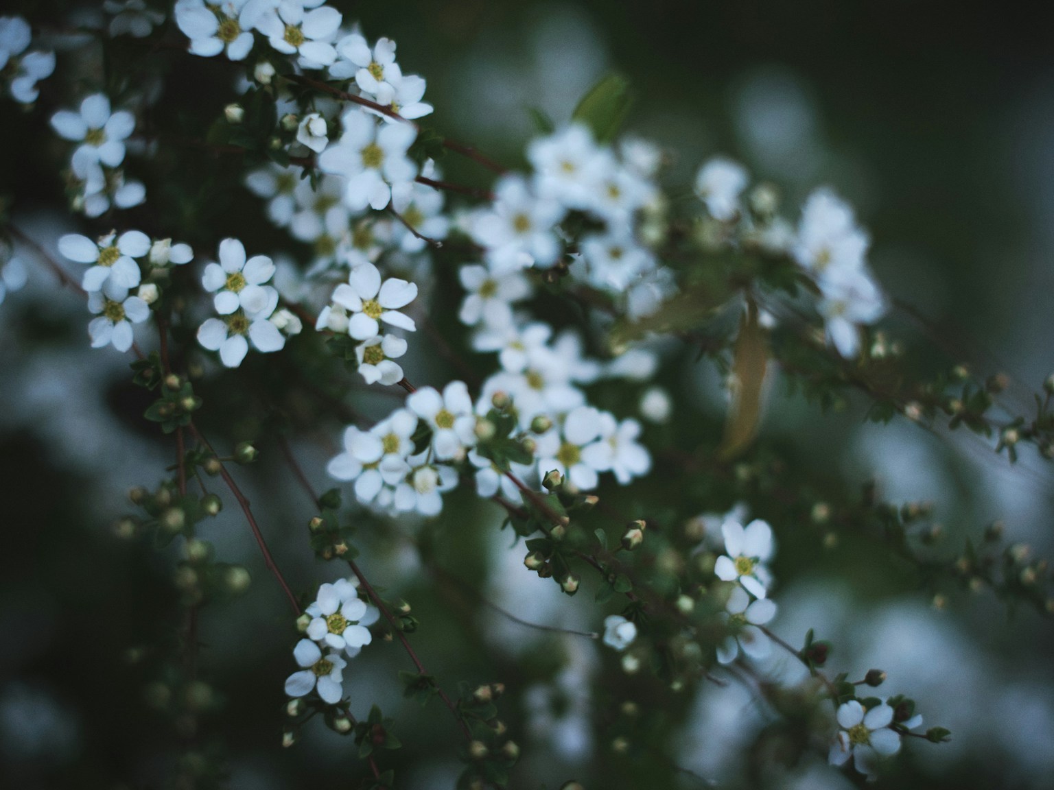 photo-im0RF8E9YAXLqlqATFKq-image