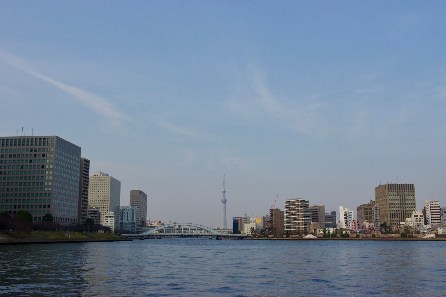 Paisaje urbano con la Tokyo Skytree y edificios a lo largo del río