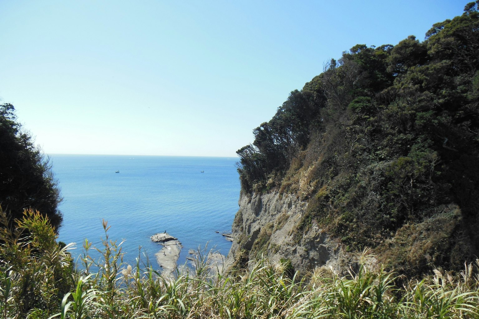 Vista panoramica di un oceano blu con scogliere e vegetazione lussureggiante