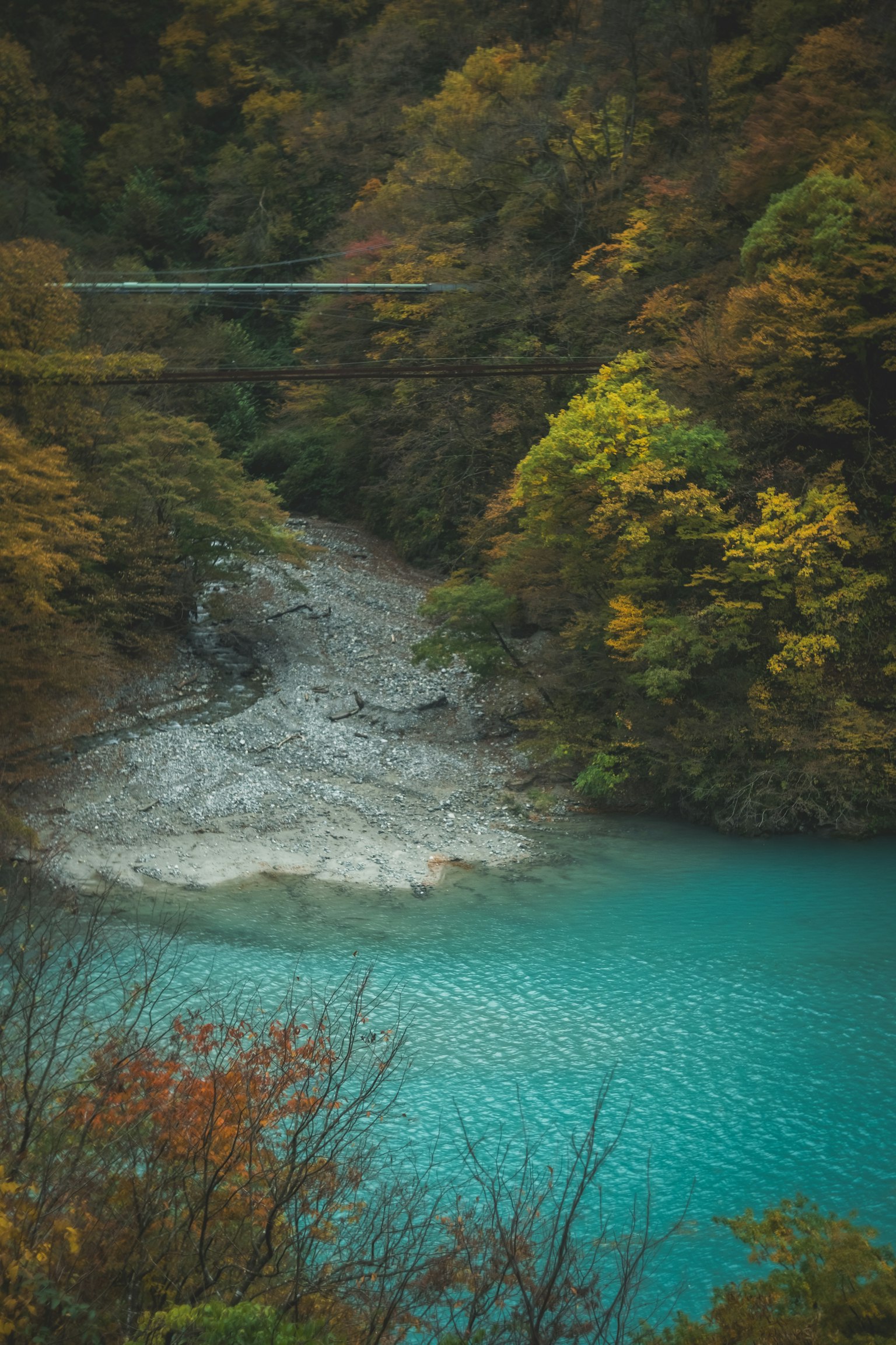 Vista escénica de un río turquesa rodeado de follaje otoñal