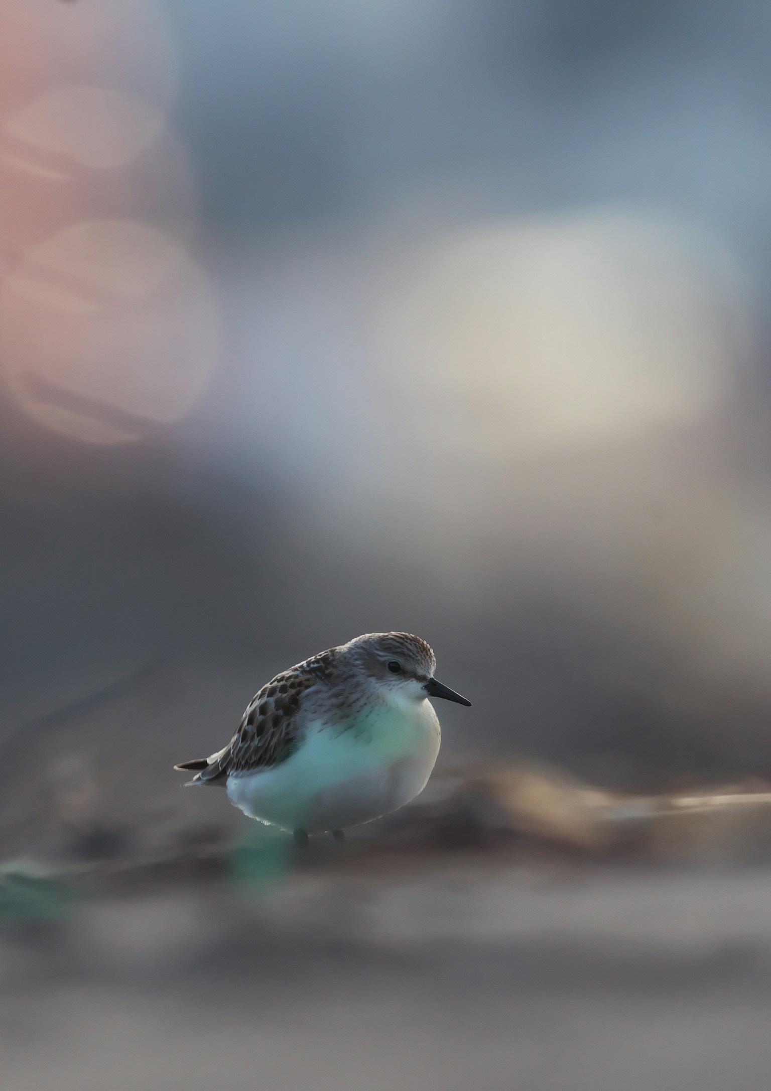 photo-inOGHOluVxYJ8SNhdoOy-image