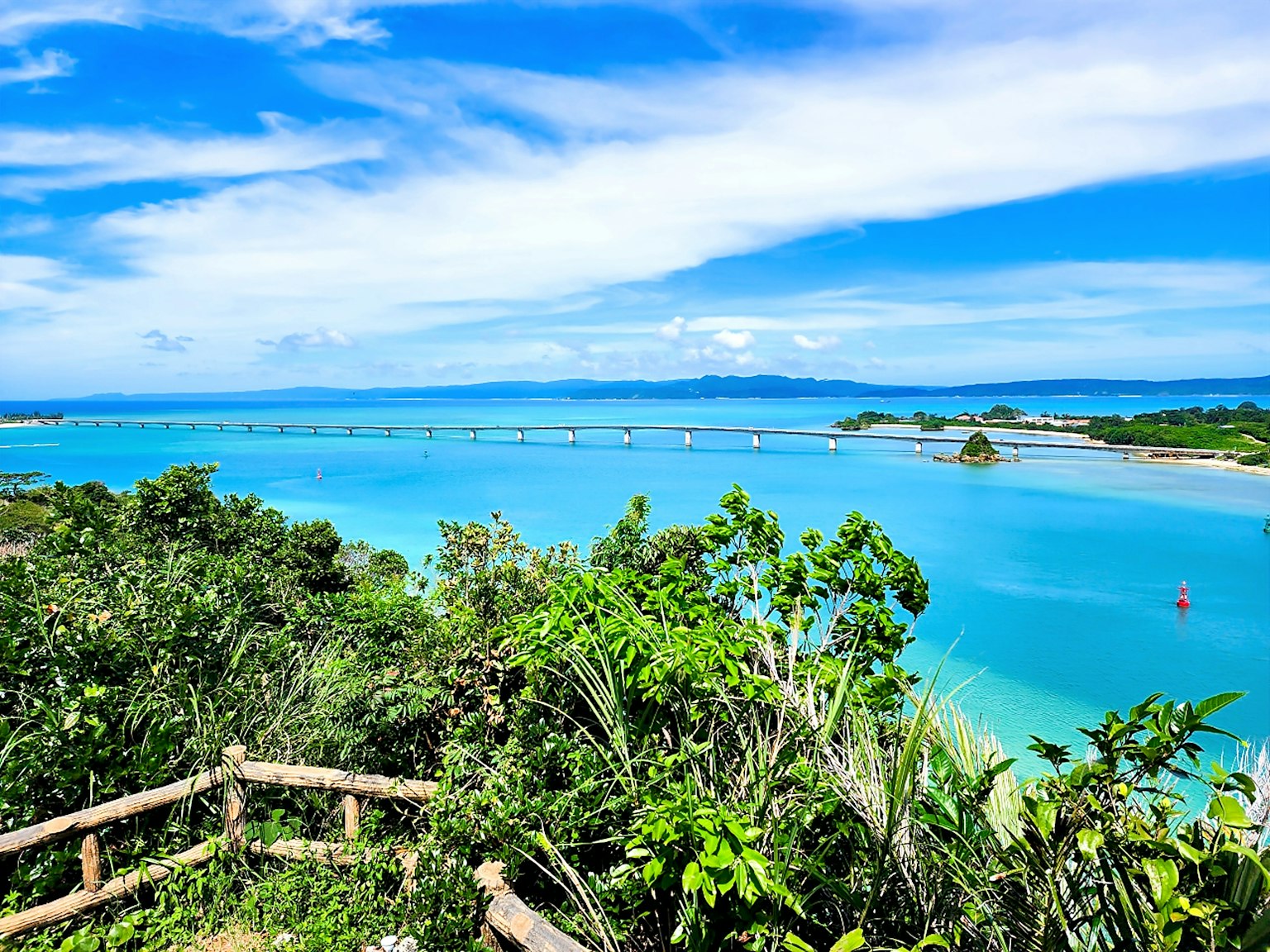 Vue panoramique de la verdure luxuriante entourant une mer et un ciel bleus
