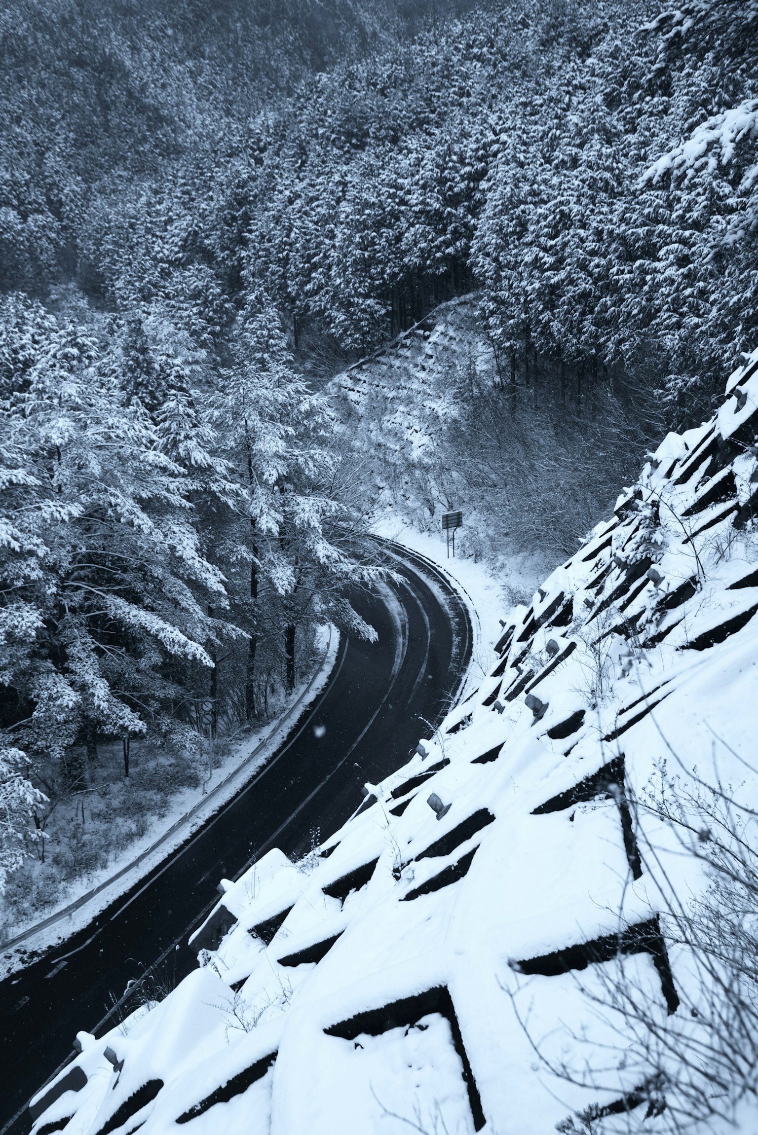 Paisaje invernal con un bosque nevado y una carretera sinuosa